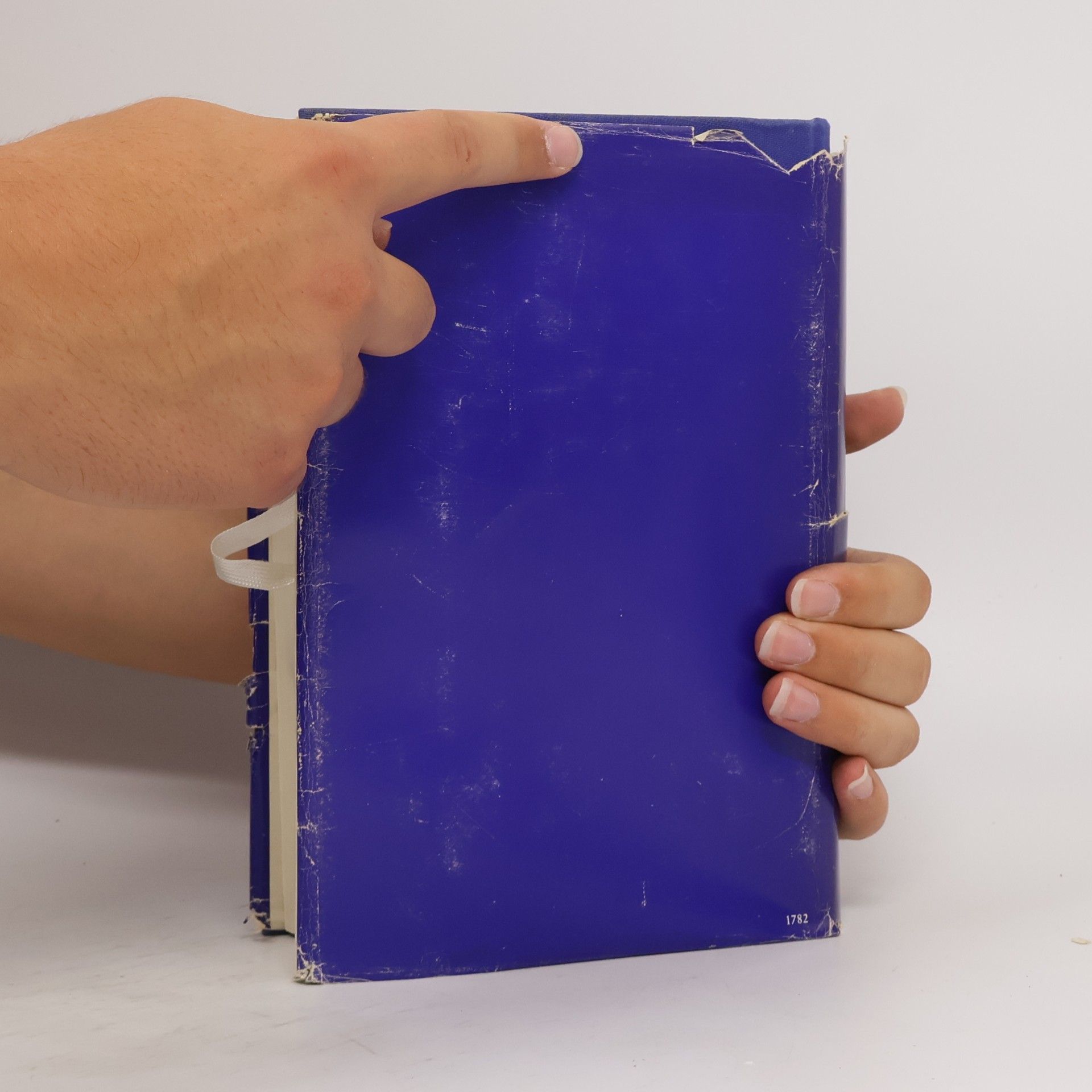 Martin Luther Lutherbibel erklärt