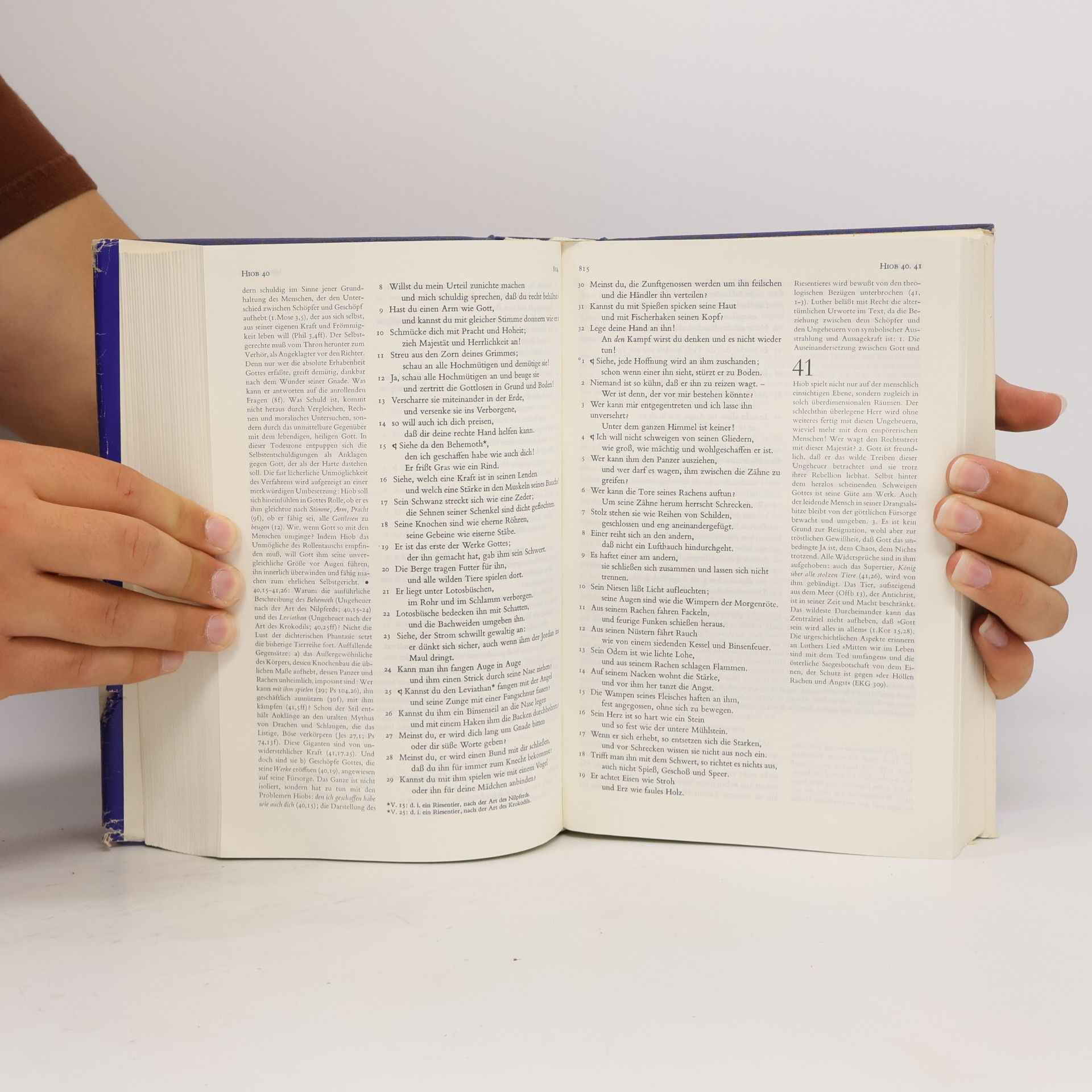 Martin Luther Lutherbibel erklärt