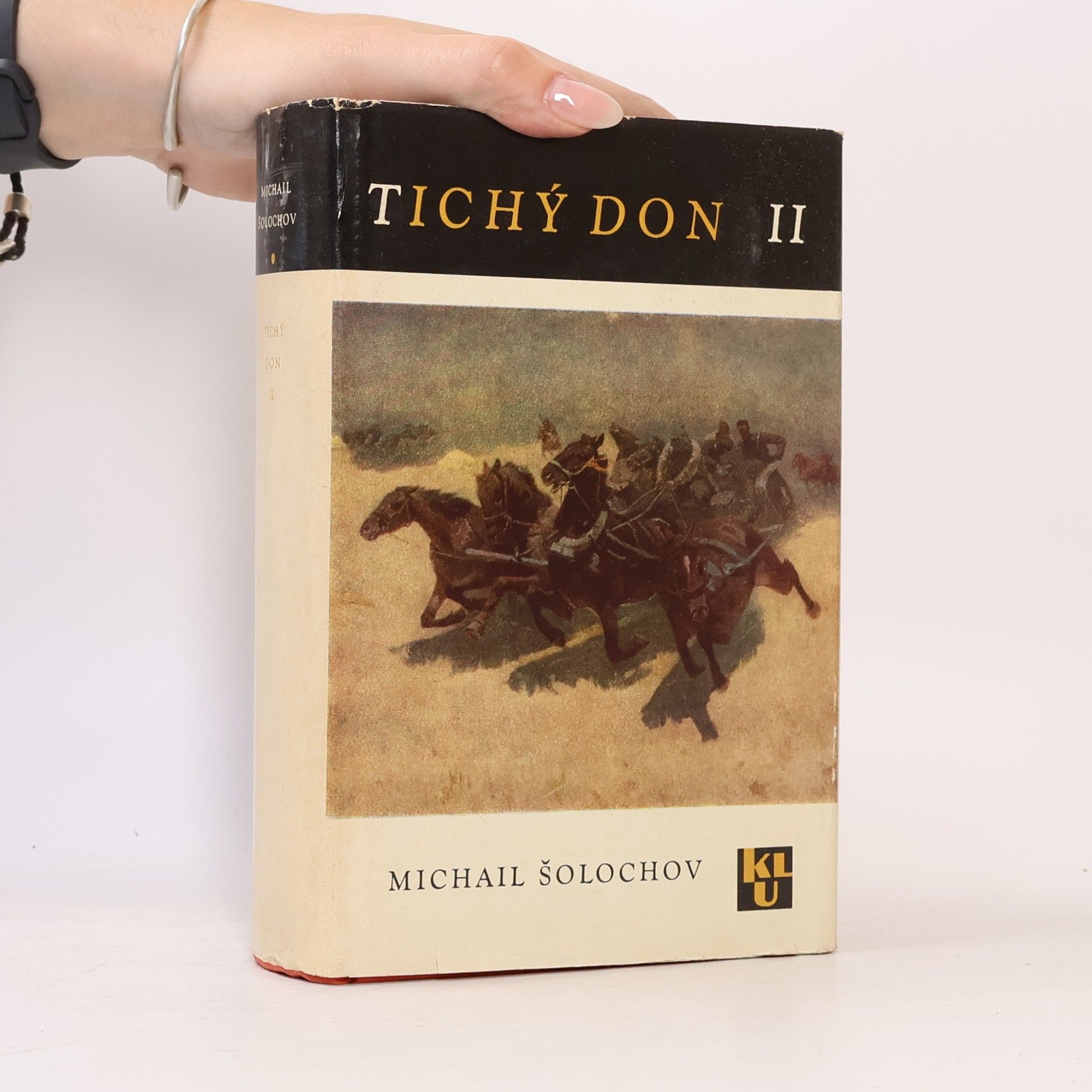 Michail Aleksandrovič Šolochov Tichý Don II.