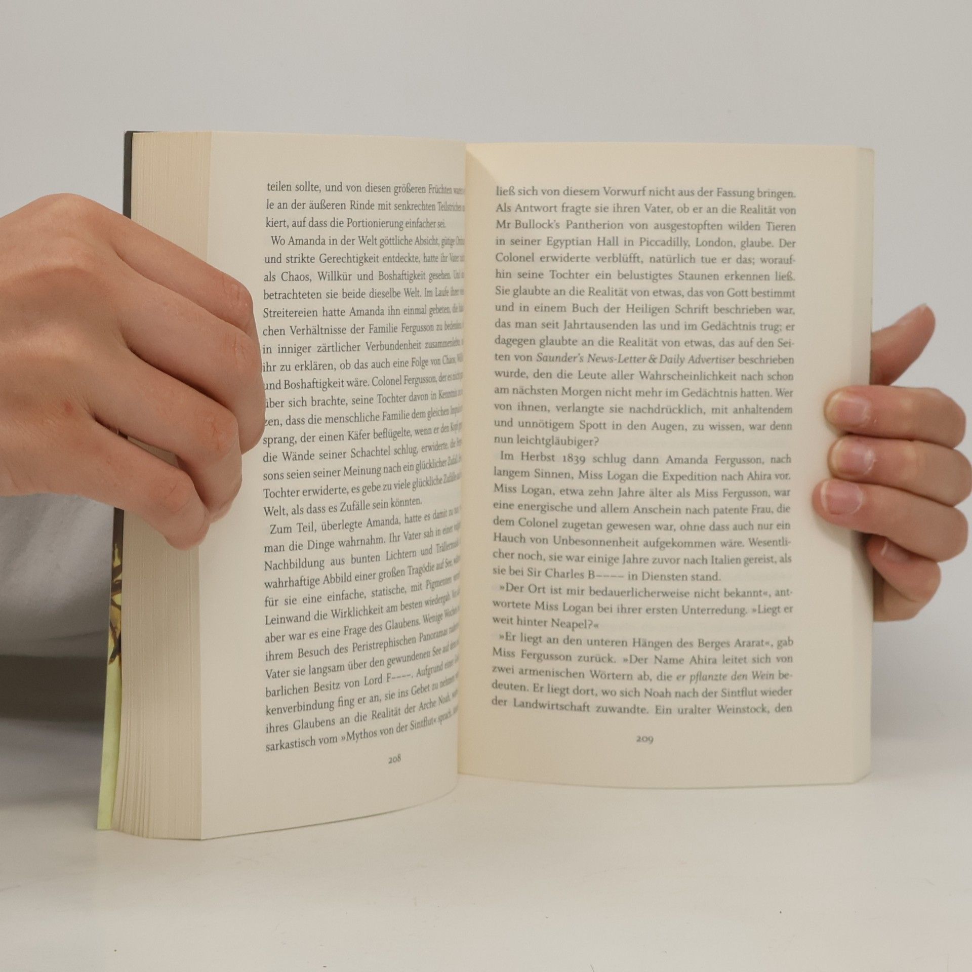Julian Barnes Eine Geschichte der Welt in 10 1/2 Kapiteln