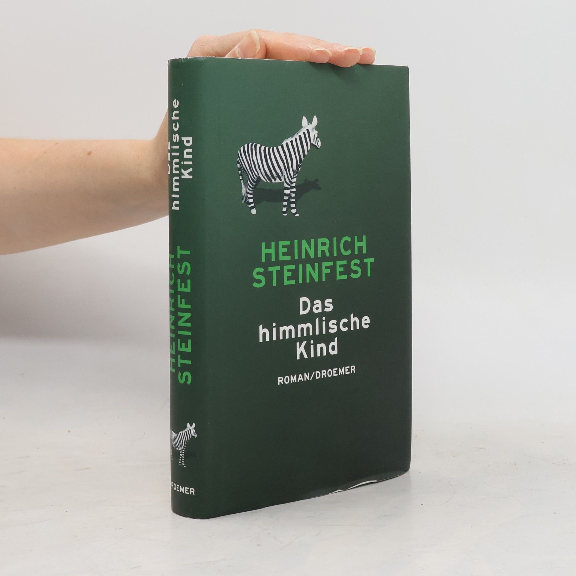 Heinrich Steinfest Das himmlische Kind