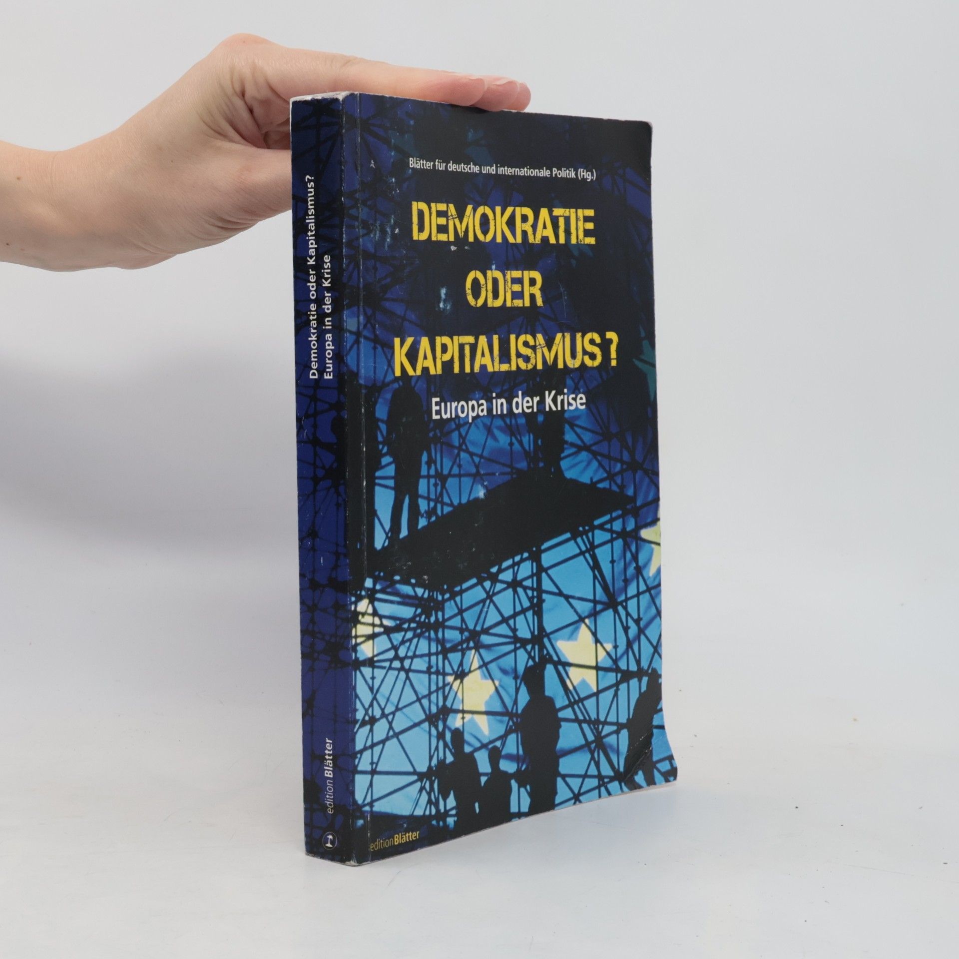 Demokratie oder Kapitalismus?: Europa in der Krise