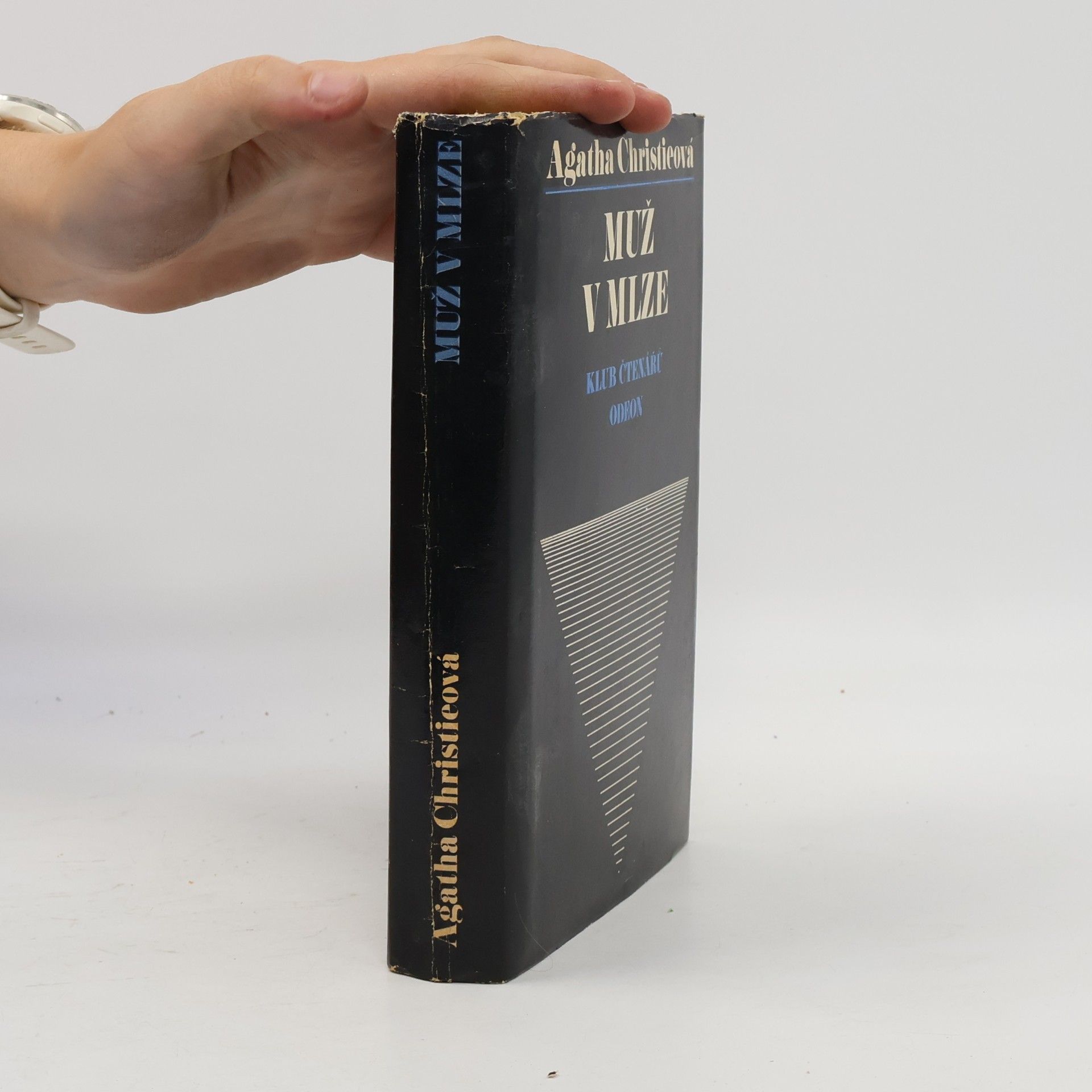 Agatha Christie Muž v mlze