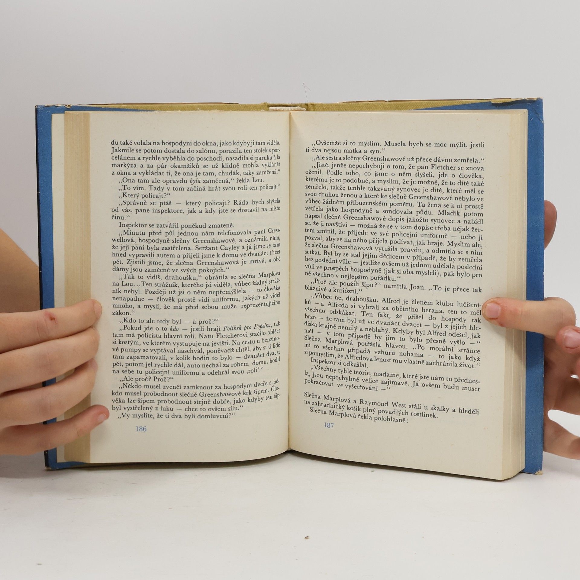 Agatha Christie Muž v mlze