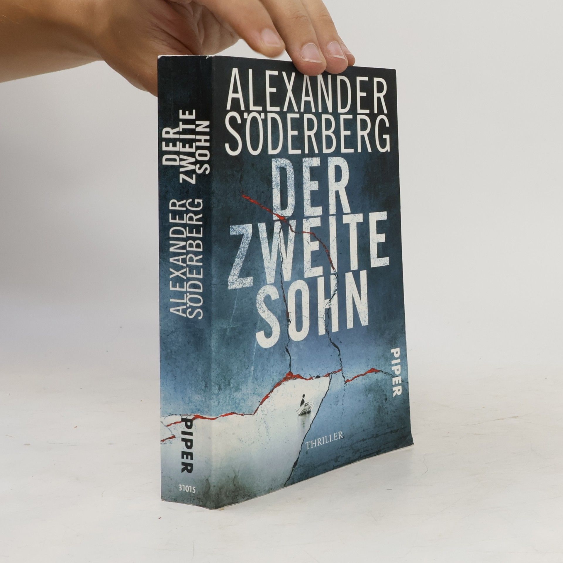 Alexander Söderberg Der zweite Sohn