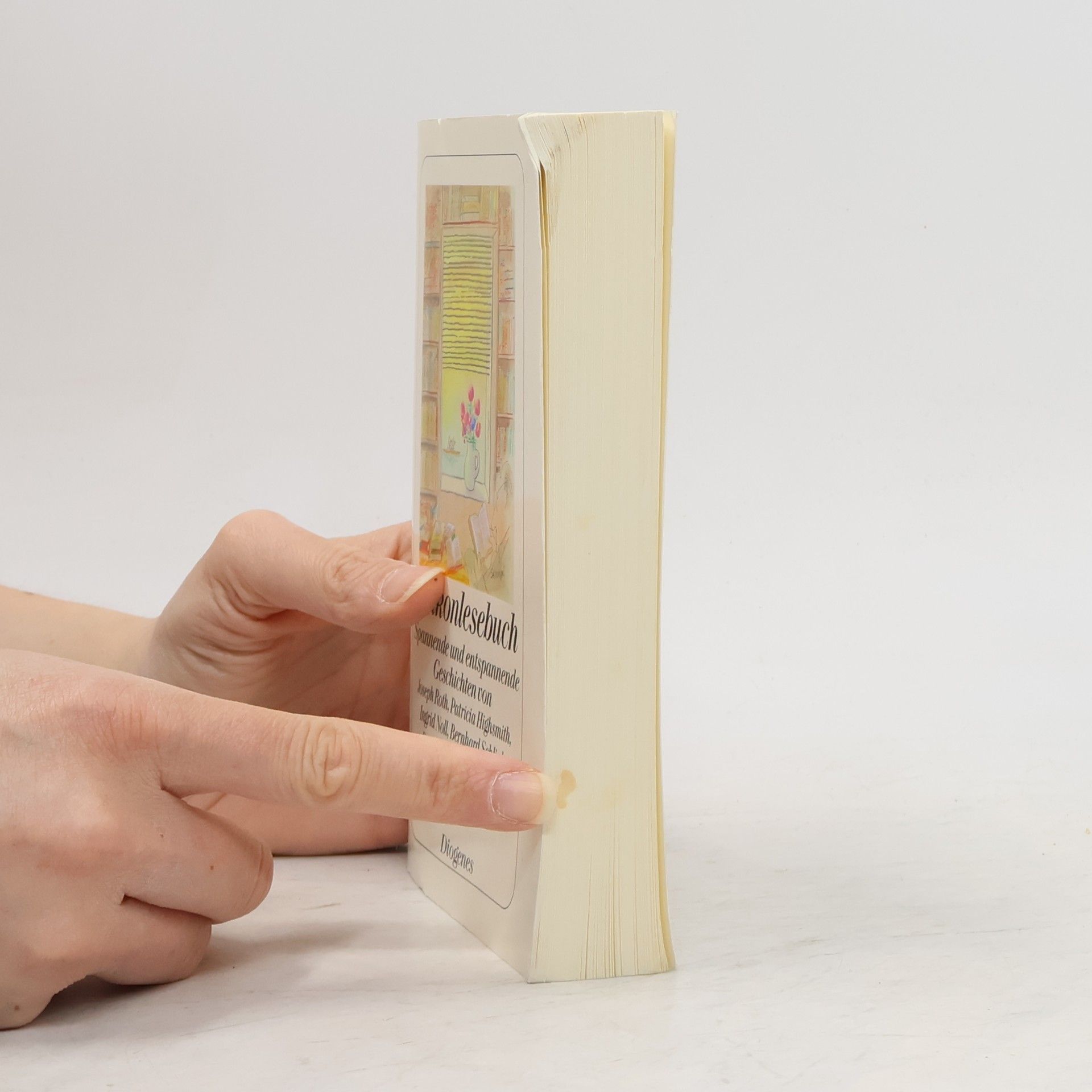Collectif d'auteurs Balkonlesebuch