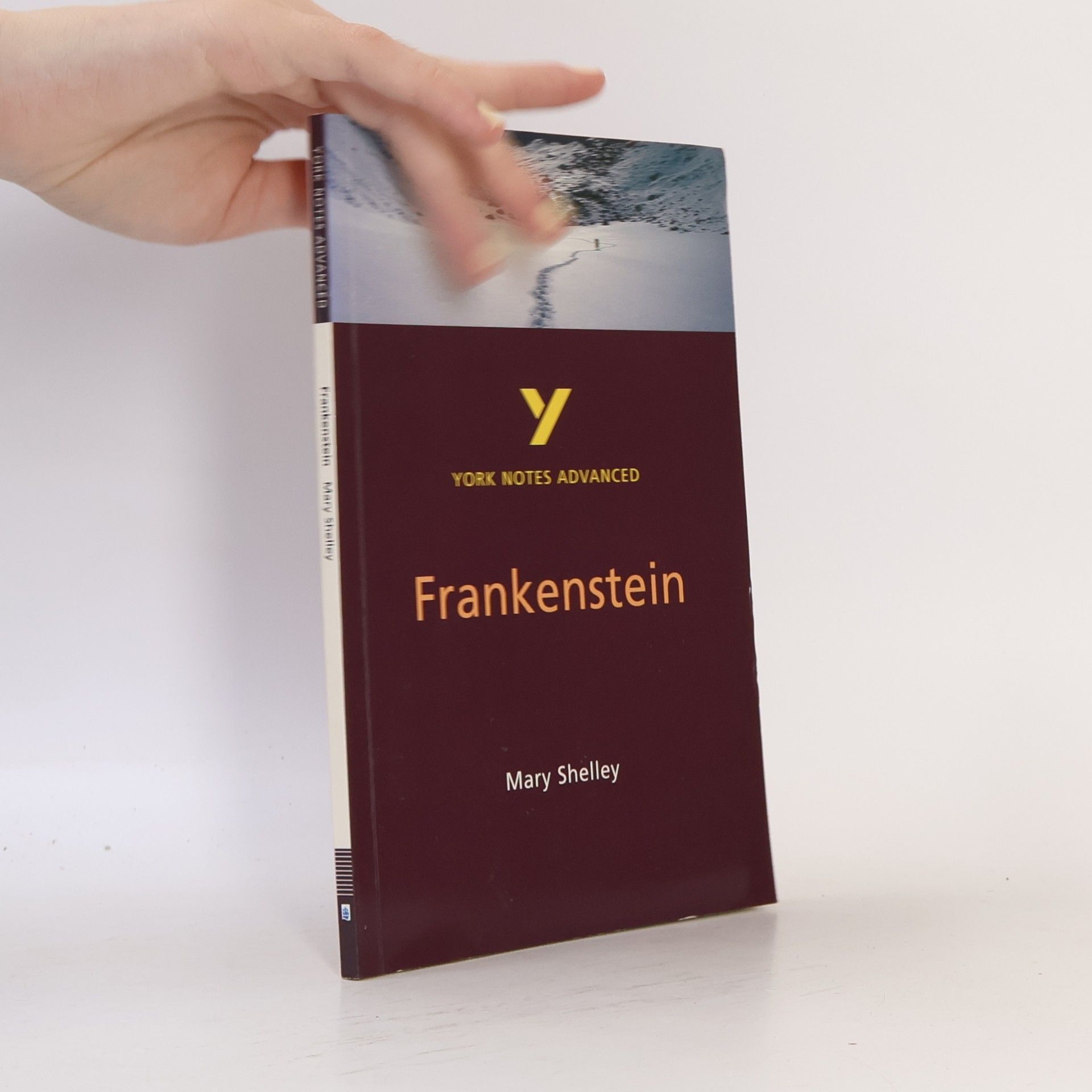 York Notes Advanced: York Notes on Mary Shelley's 'Frankenstein'