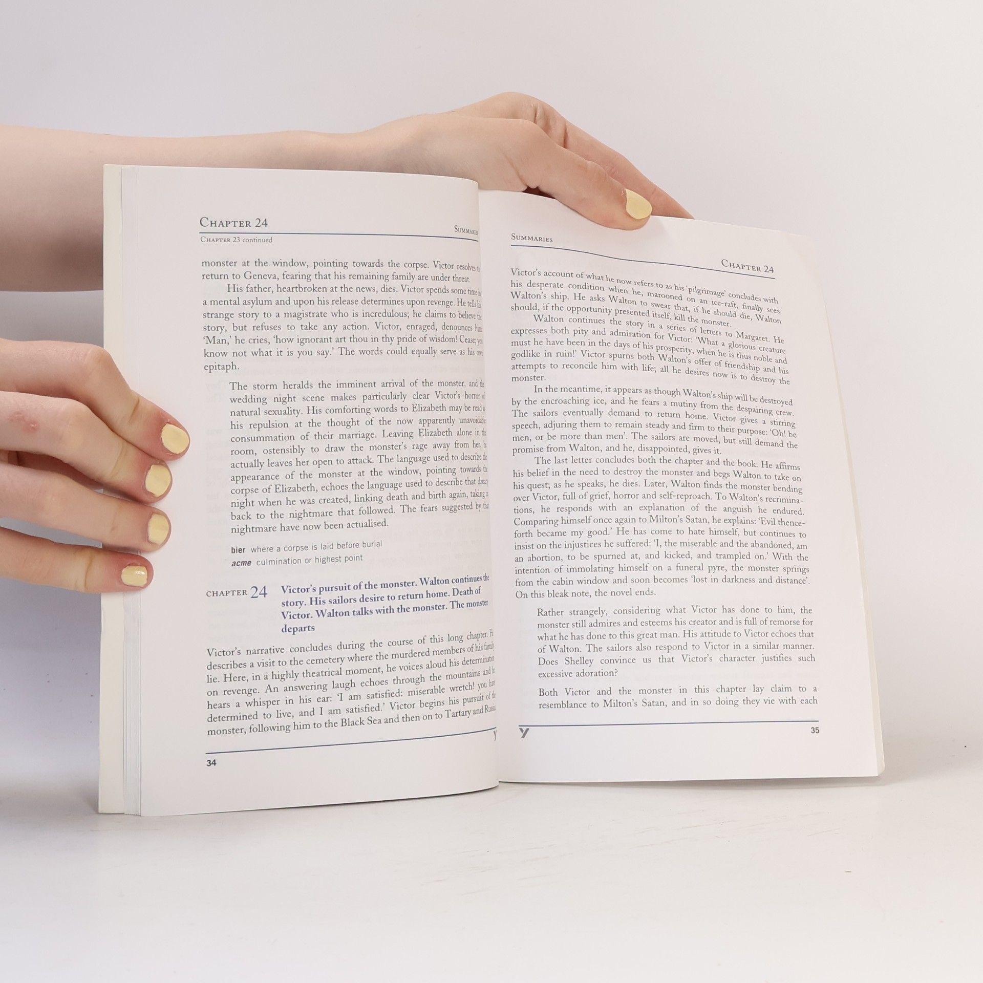 Glennis Byron York Notes Advanced: York Notes on Mary Shelley's 'Frankenstein'