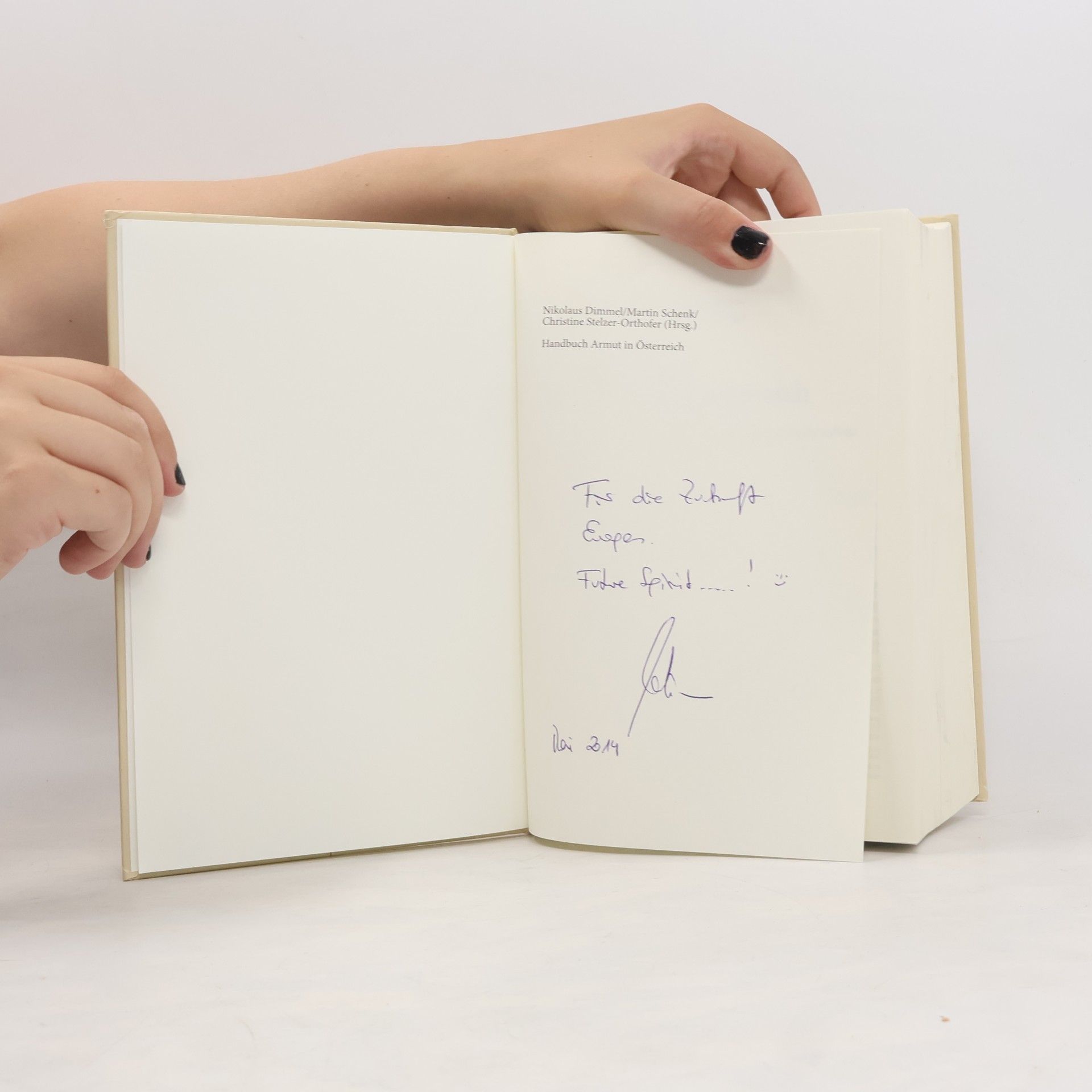 Nikolaus Dimmel Handbuch Armut in Österreich: Zweite, vollständig überarbeitete und erweiterte Auflage