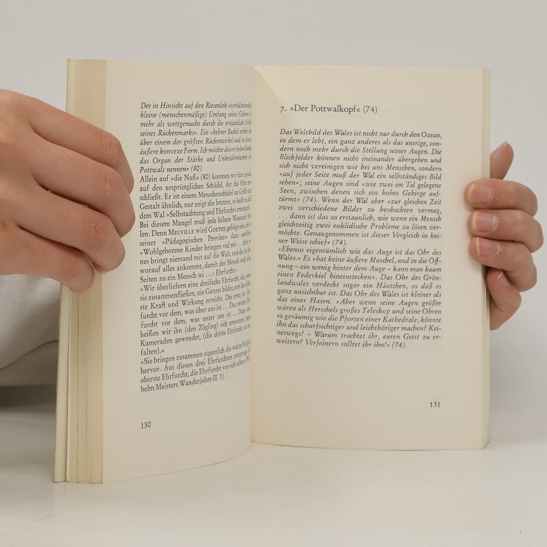 Diether Lauenstein Das Geheimnis des Wals