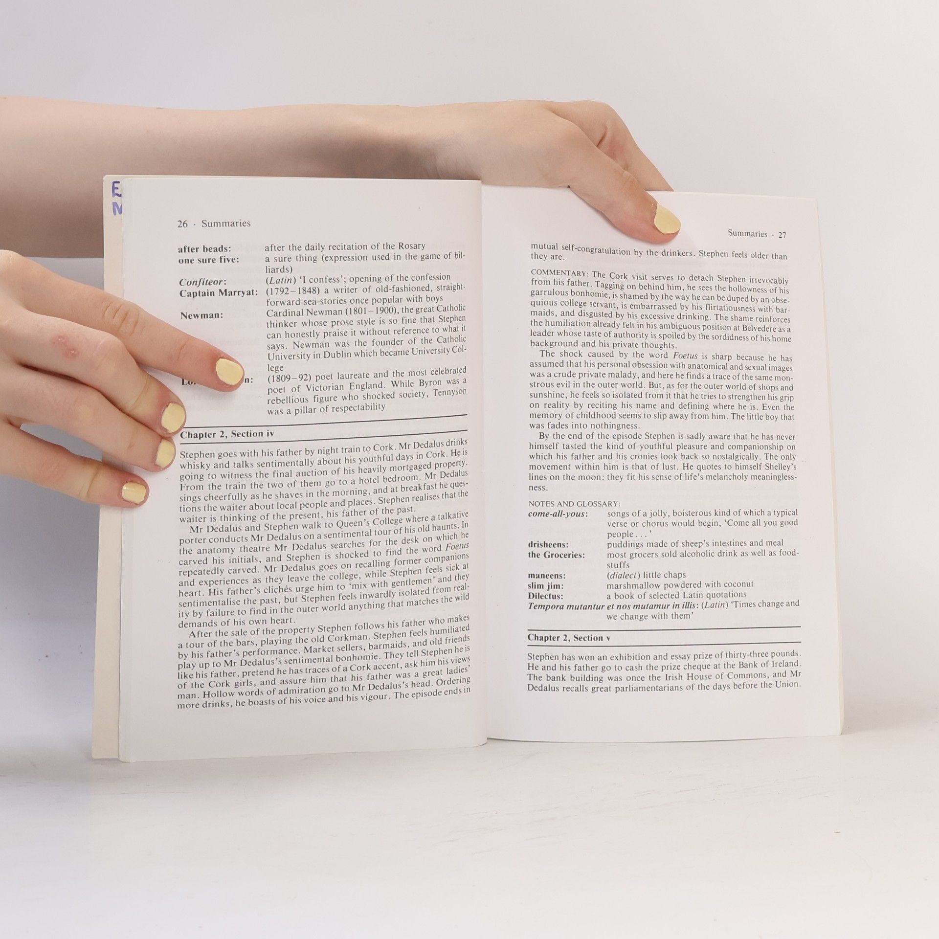 Collectif d'auteurs Notes On A Portrait Of The Artist As A Young Man