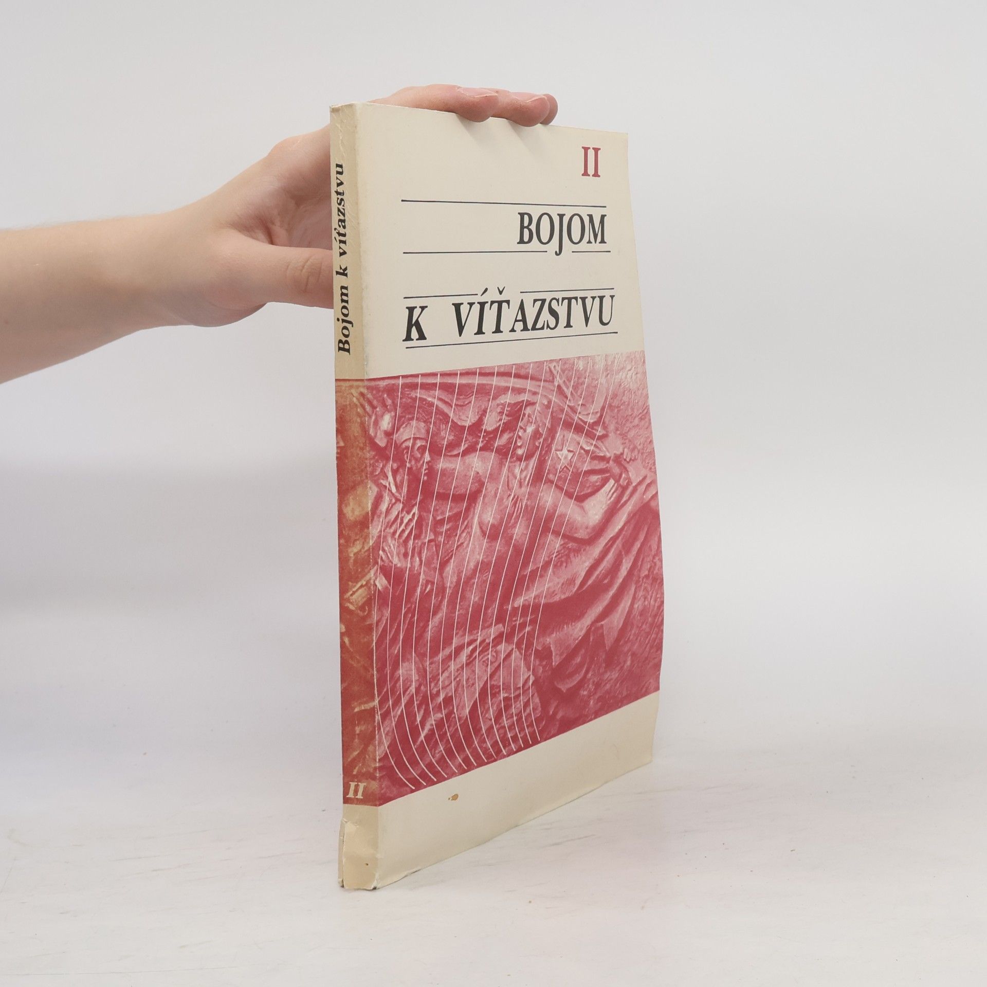 Kolektiv autorů Bojom k víťazstvu II.