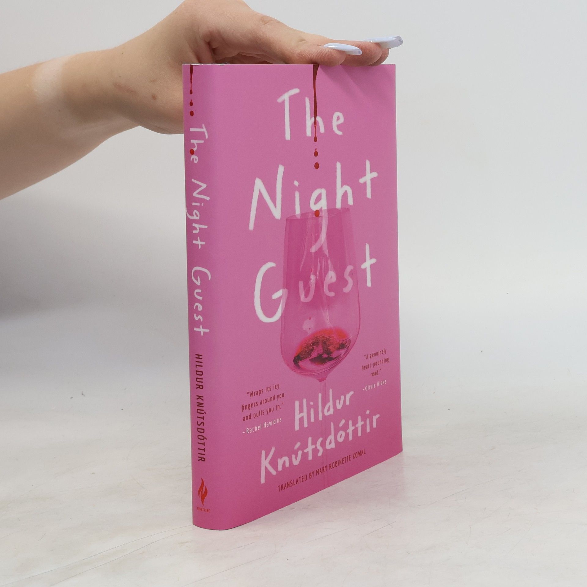 Knútsdóttir Hildur The Night Guest