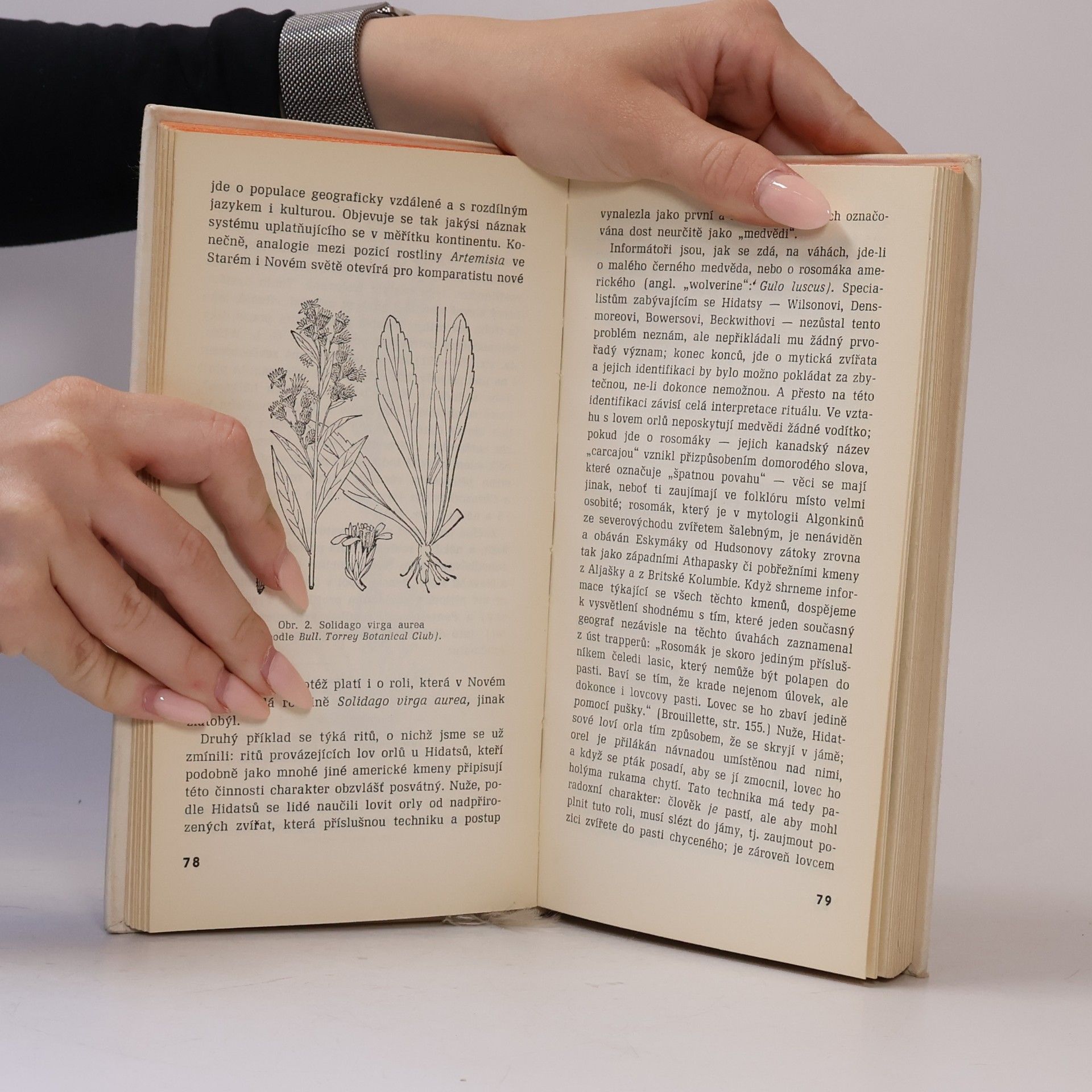 Claude Lévi-Strauss Myšlení přírodních národů