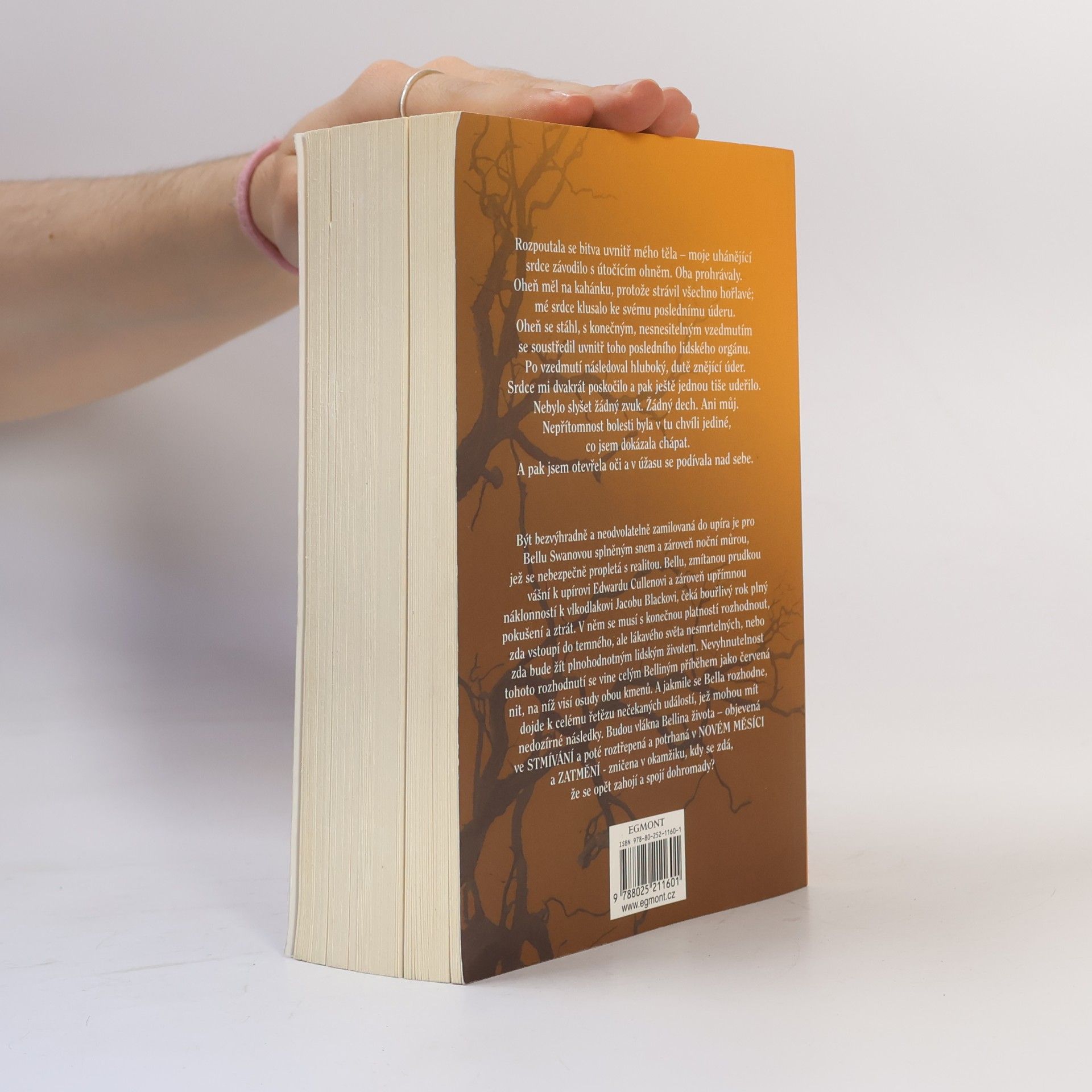 Stephenie Meyer Rozbřesk