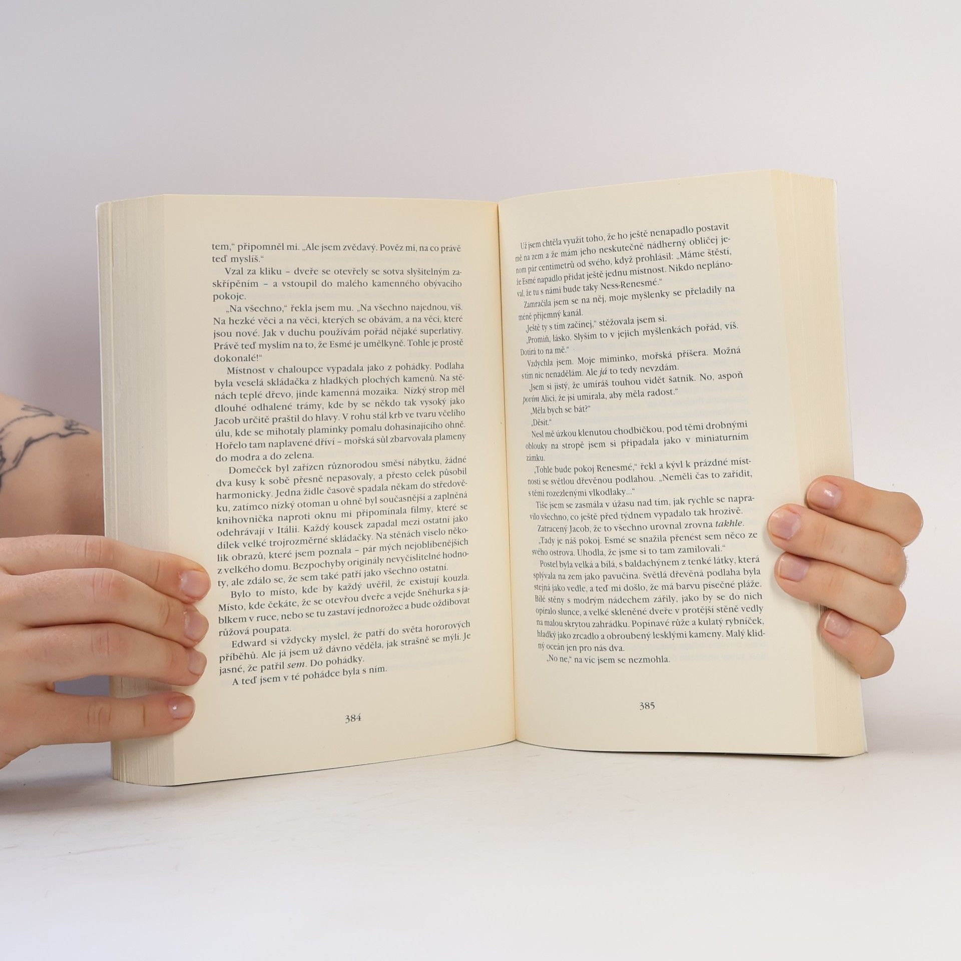 Stephenie Meyer Rozbřesk