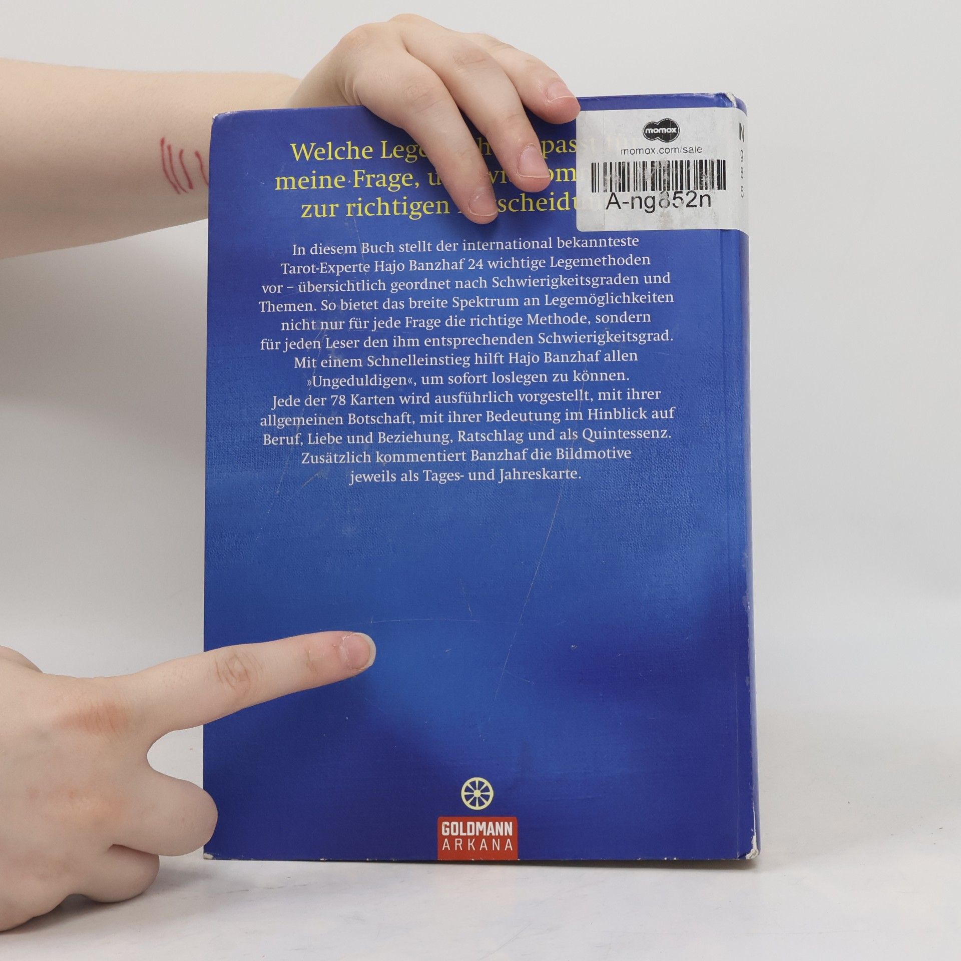 Hajo Banzhaf Gut beraten mit Tarot