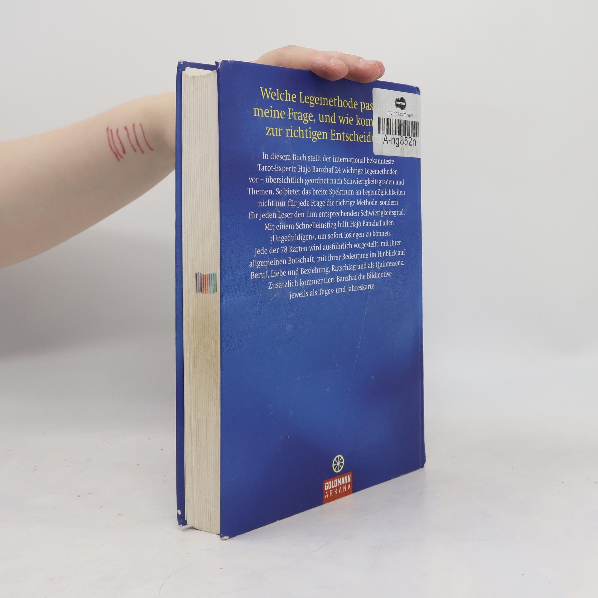 Hajo Banzhaf Gut beraten mit Tarot