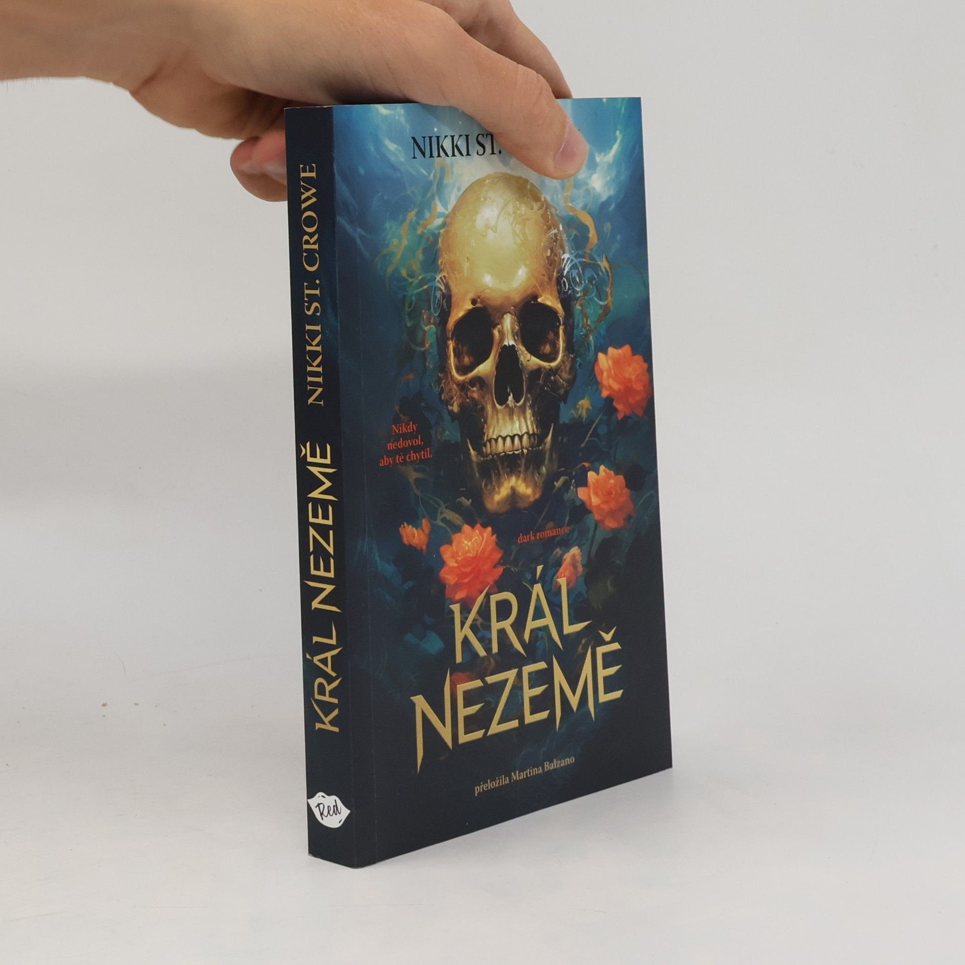 Král Nezemě