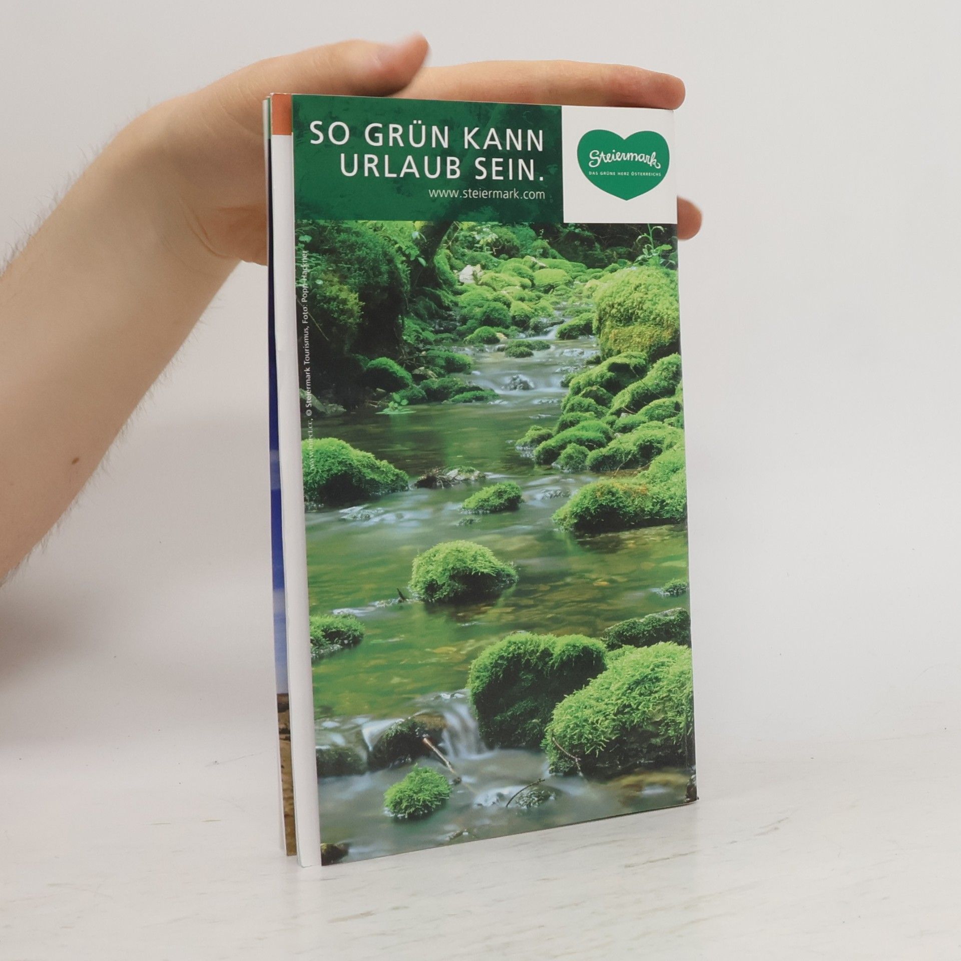 Autorenkollektiv So schmeckt die Steiermark