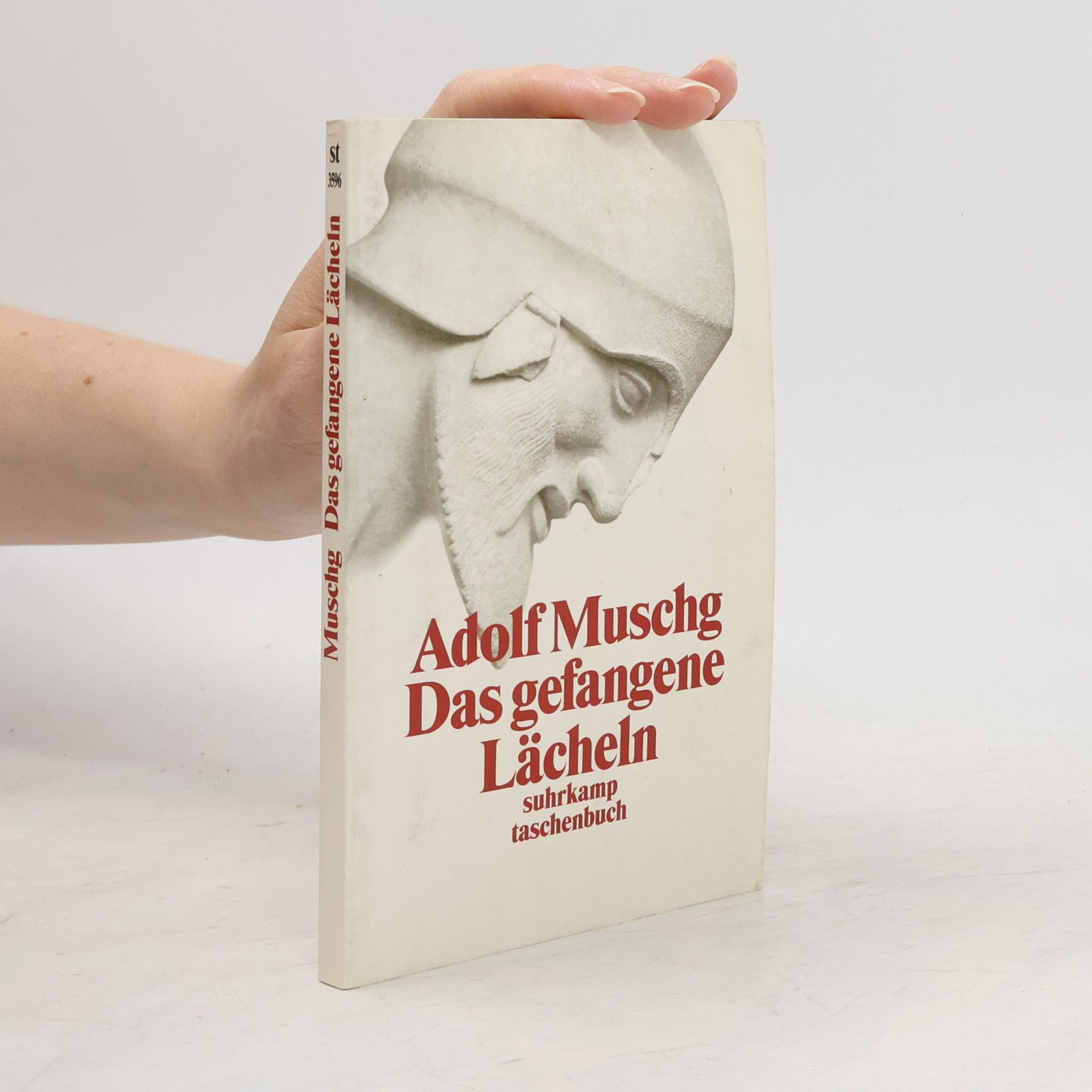 Adolf Muschg Das gefangene Lächeln