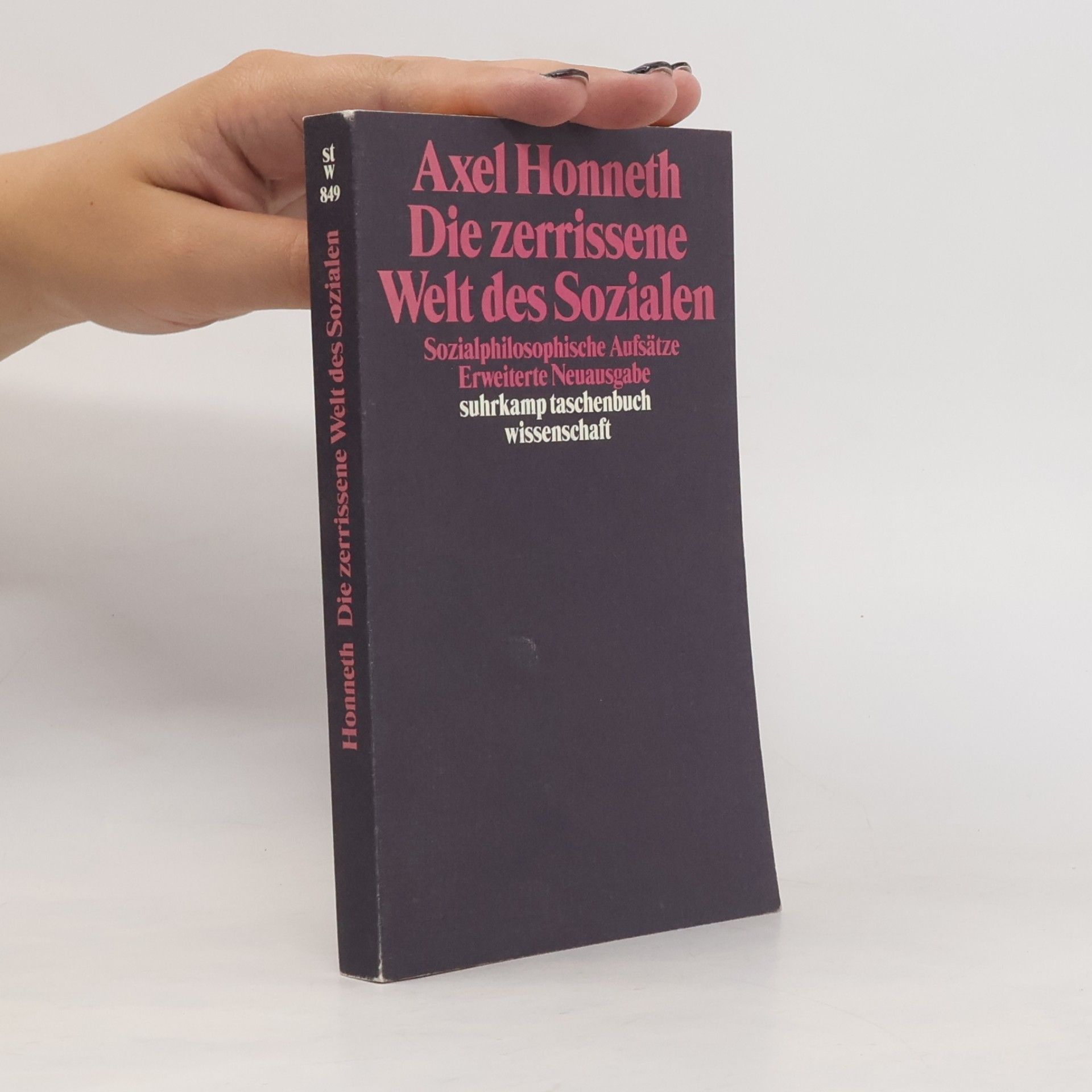 Axel Honneth Die zerrissene Welt des Sozialen
