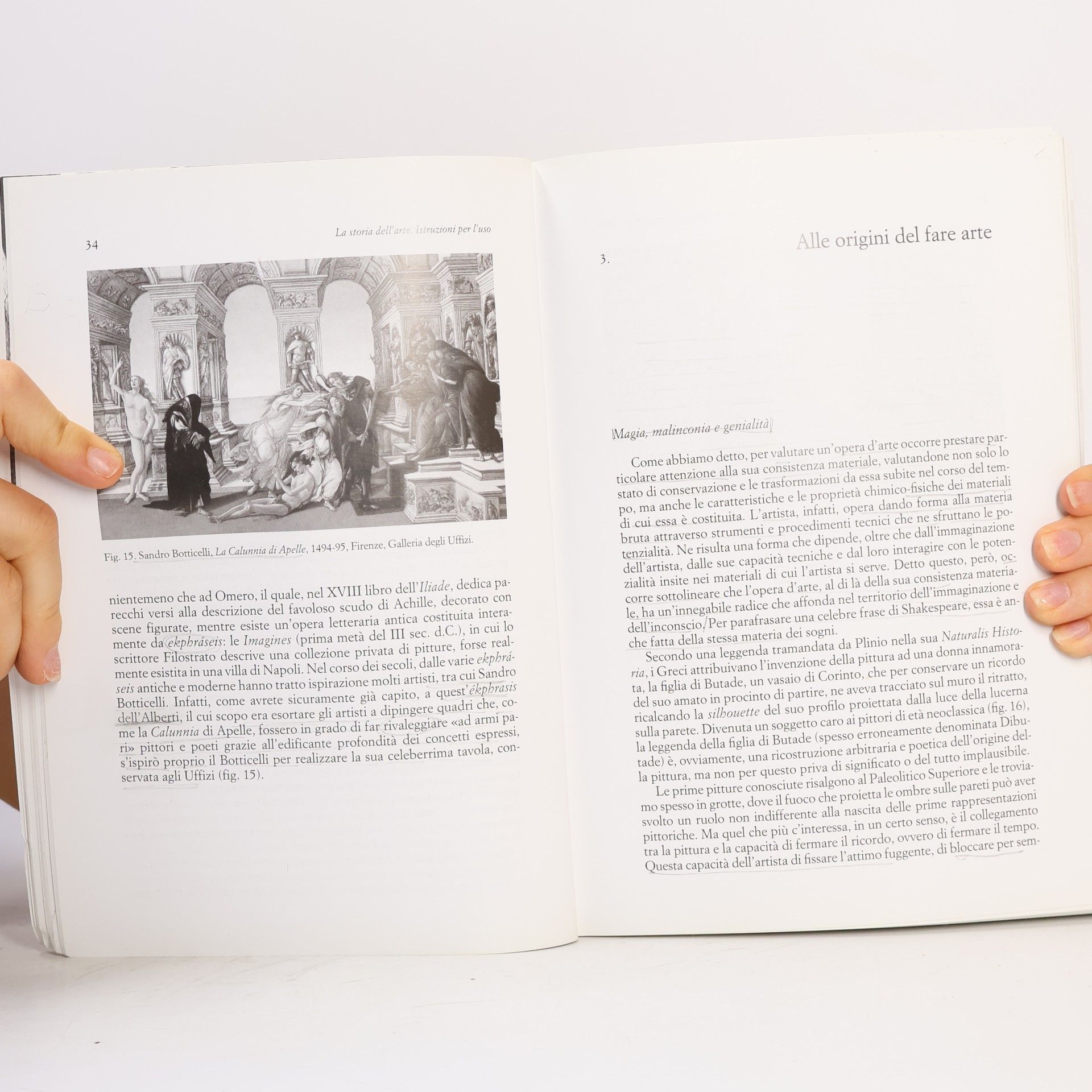 Antonio Pinelli Economica: La storia dell'arte. Istruzioni per l'uso