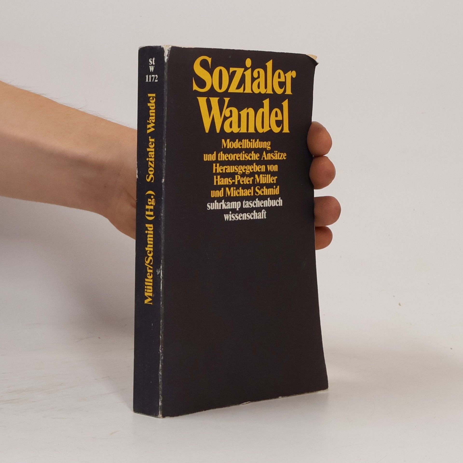 Suhrkamp Taschenbuch Wissenschaft - 1172: Sozialer Wandel