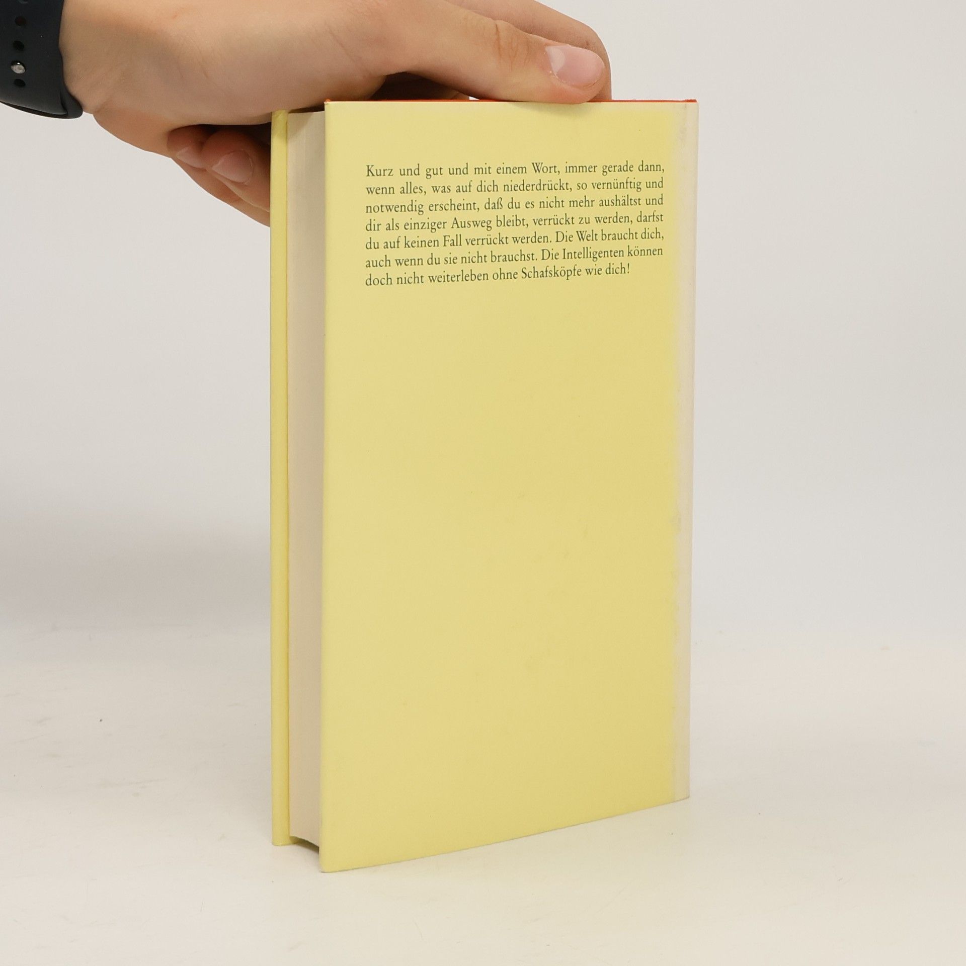 Michael Kahn-Ackermann Solange nichts passiert, geschieht auch nichts. Chinesische Satiren