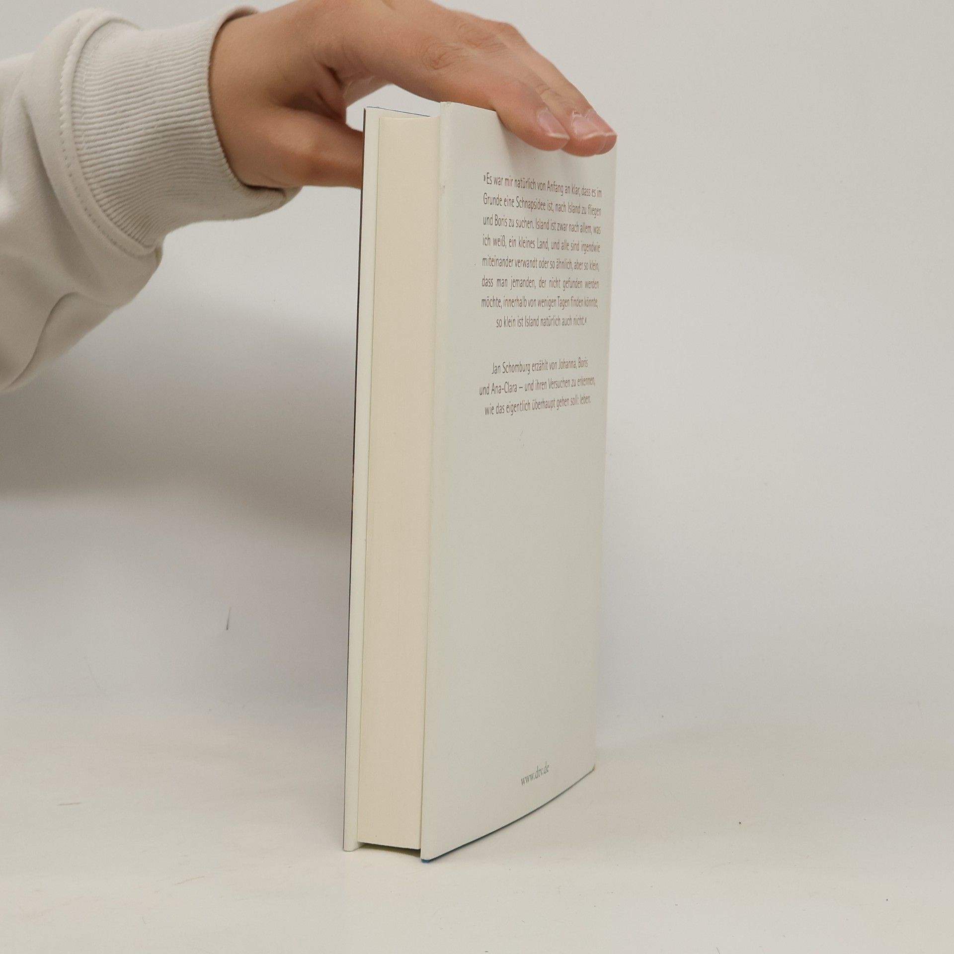 Jan Schomburg Das Licht und die Geräusche