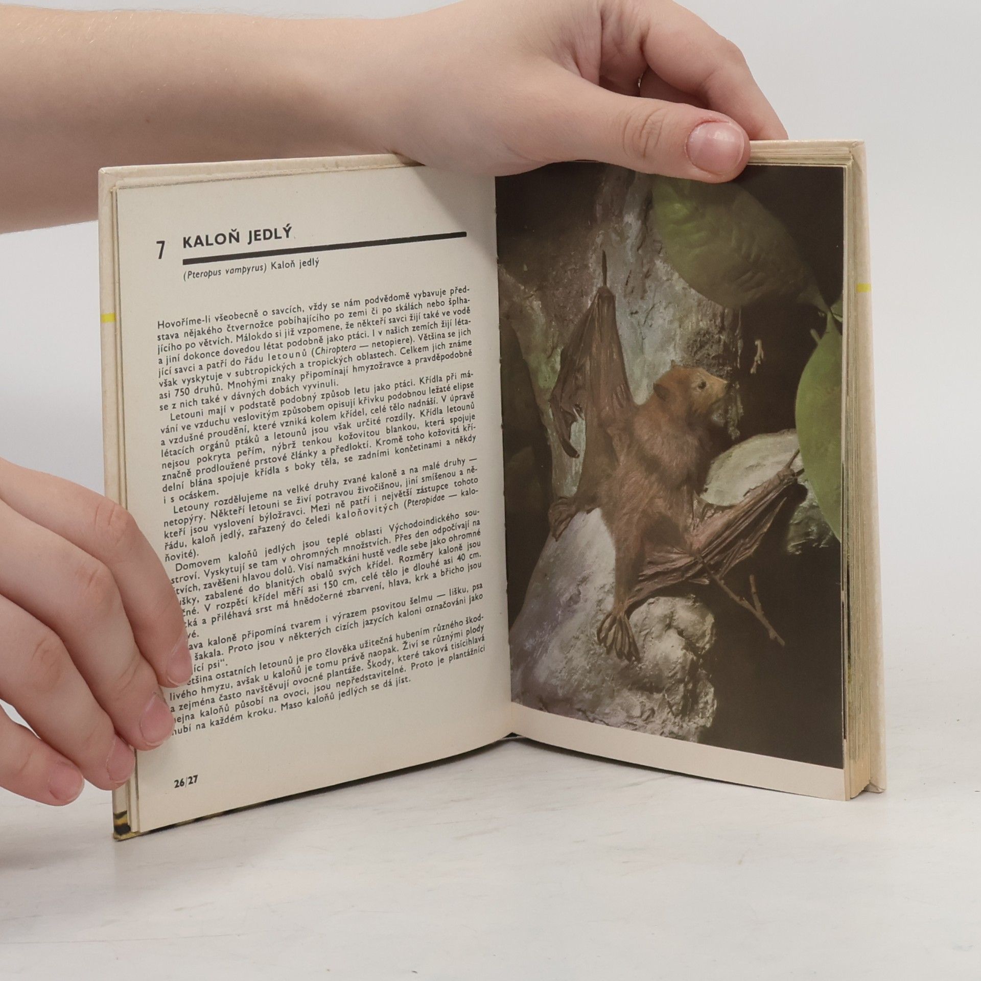 Miroslav Bouchner Kapesní atlas savců