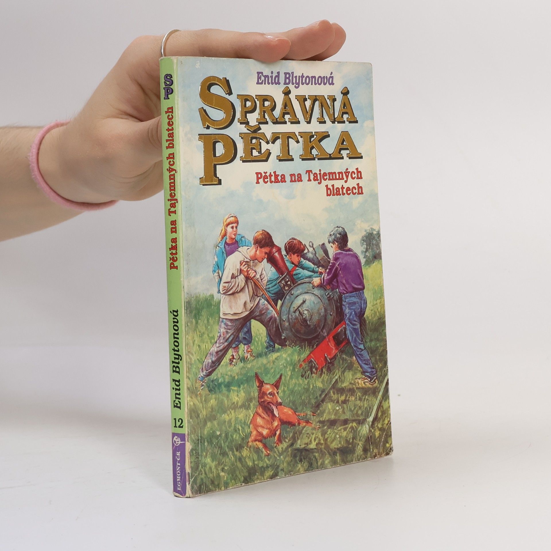 Enid Blyton Správná pětka - Pětka na Tajemných blatech
