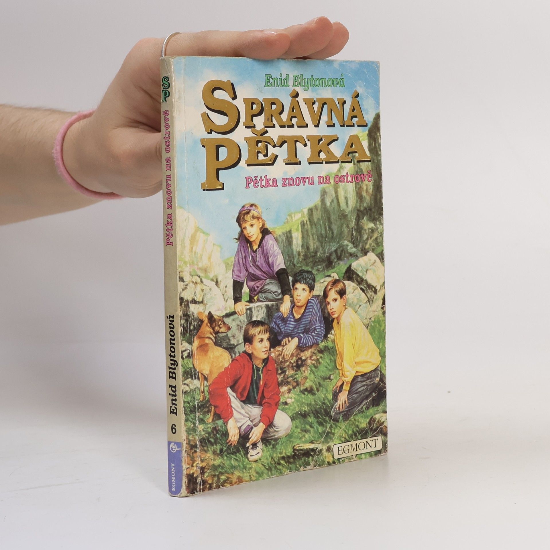 Enid Blyton Správná pětka, Pětka znovu na ostrově