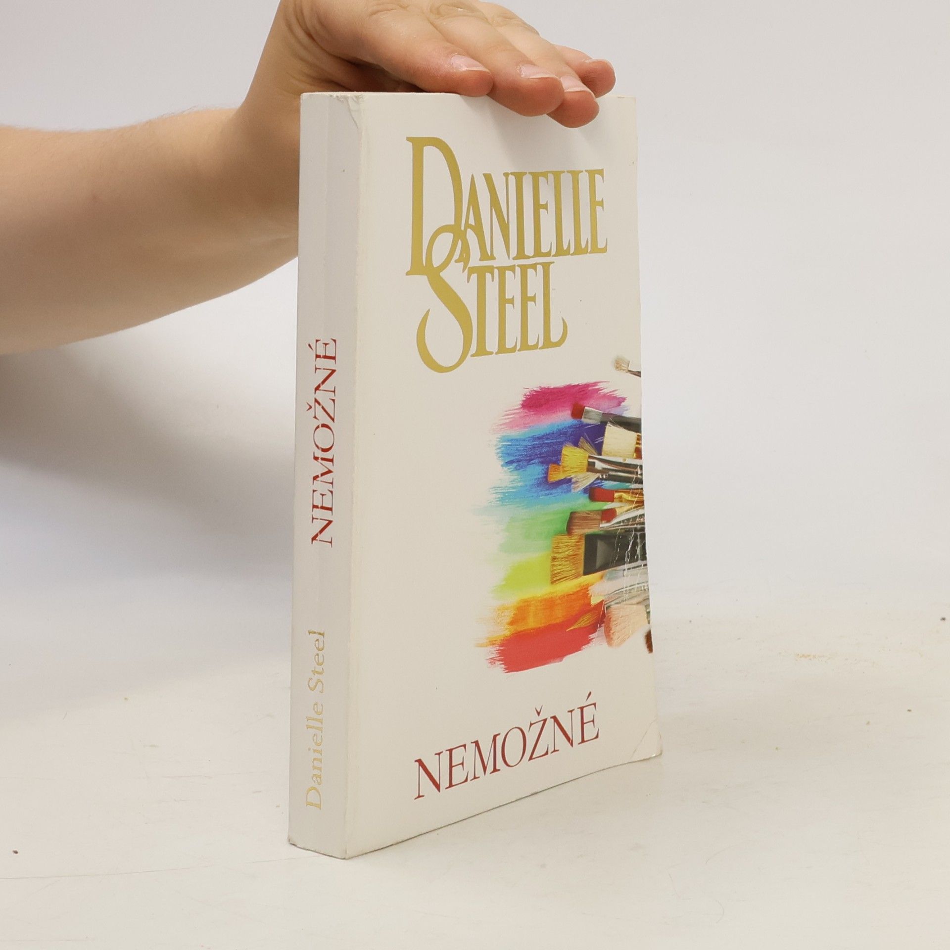Danielle Steel Nemožné
