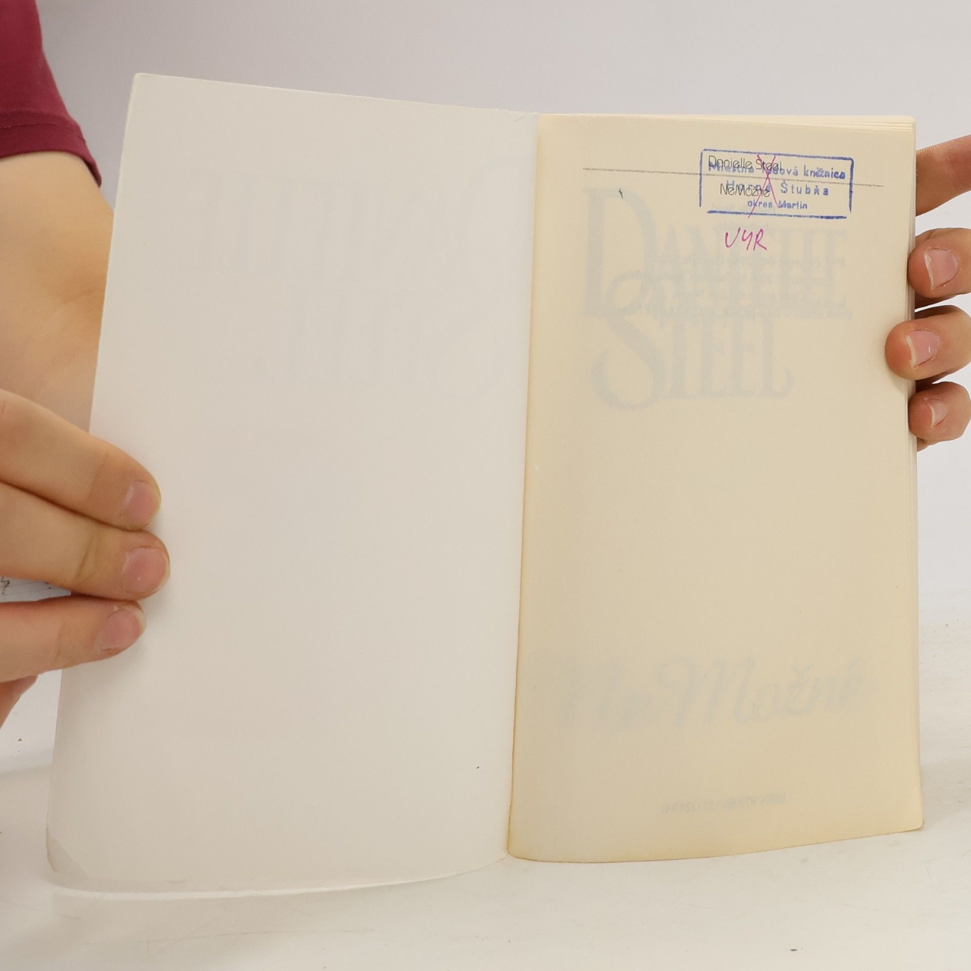 Danielle Steel Nemožné