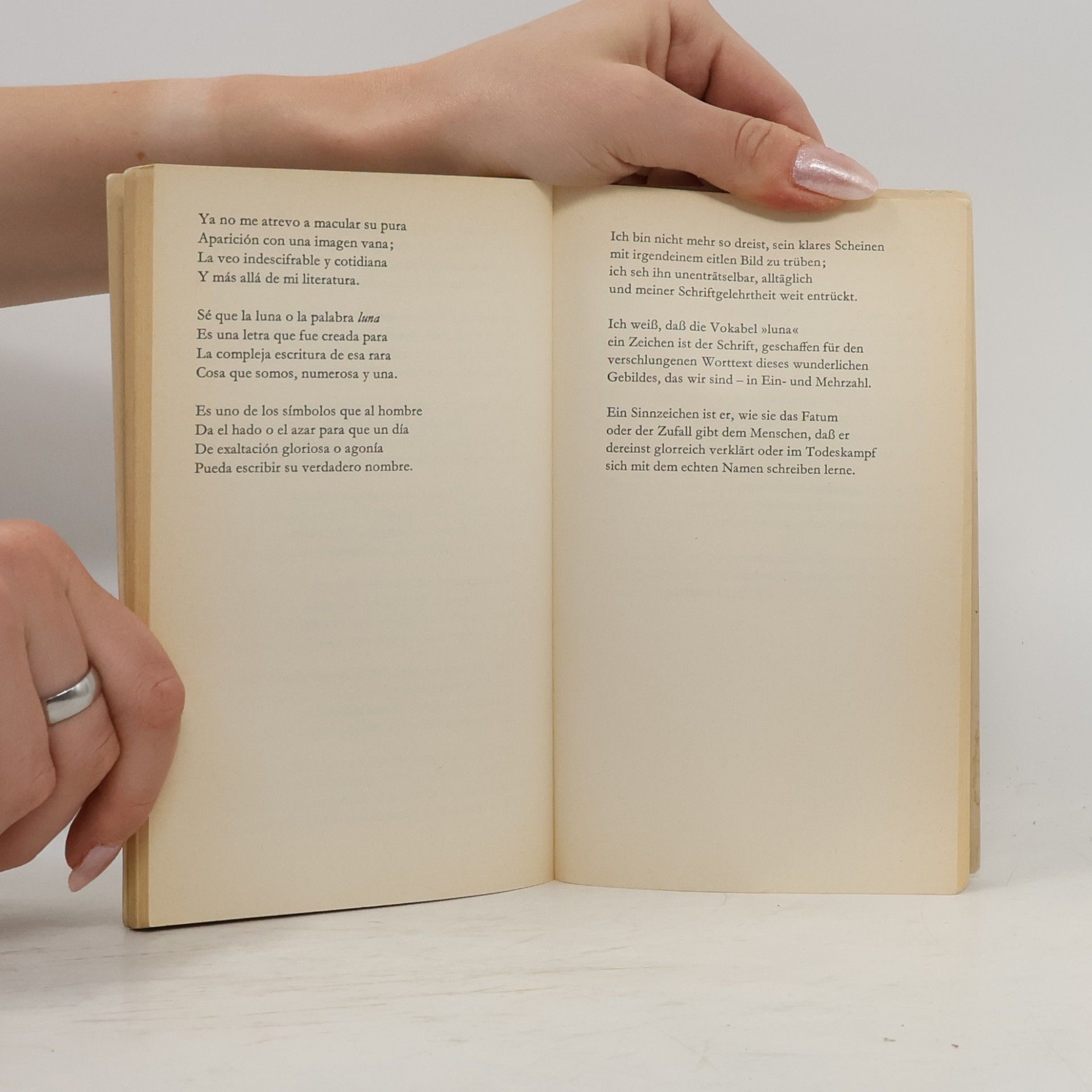 Jorge Luis Borges Borges und Ich. Gedichte und Prosa