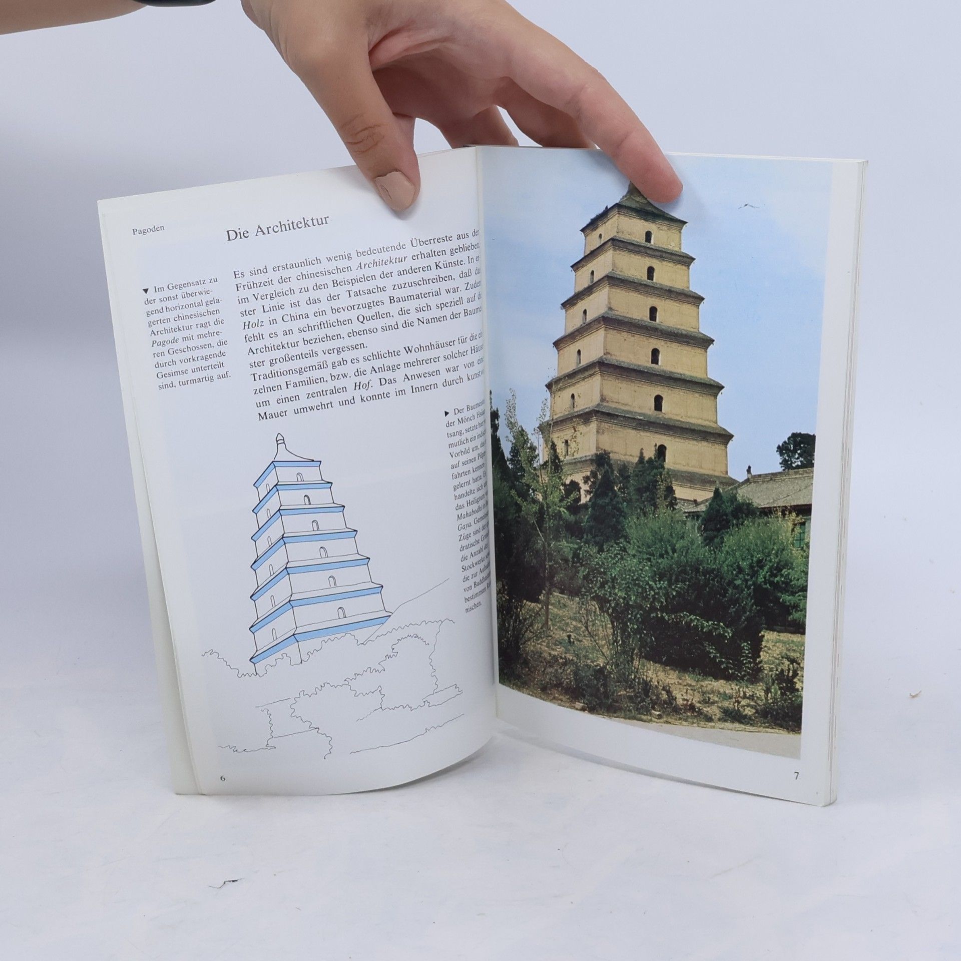 Franca Bedin Wie erkenne ich chinesische Kunst?