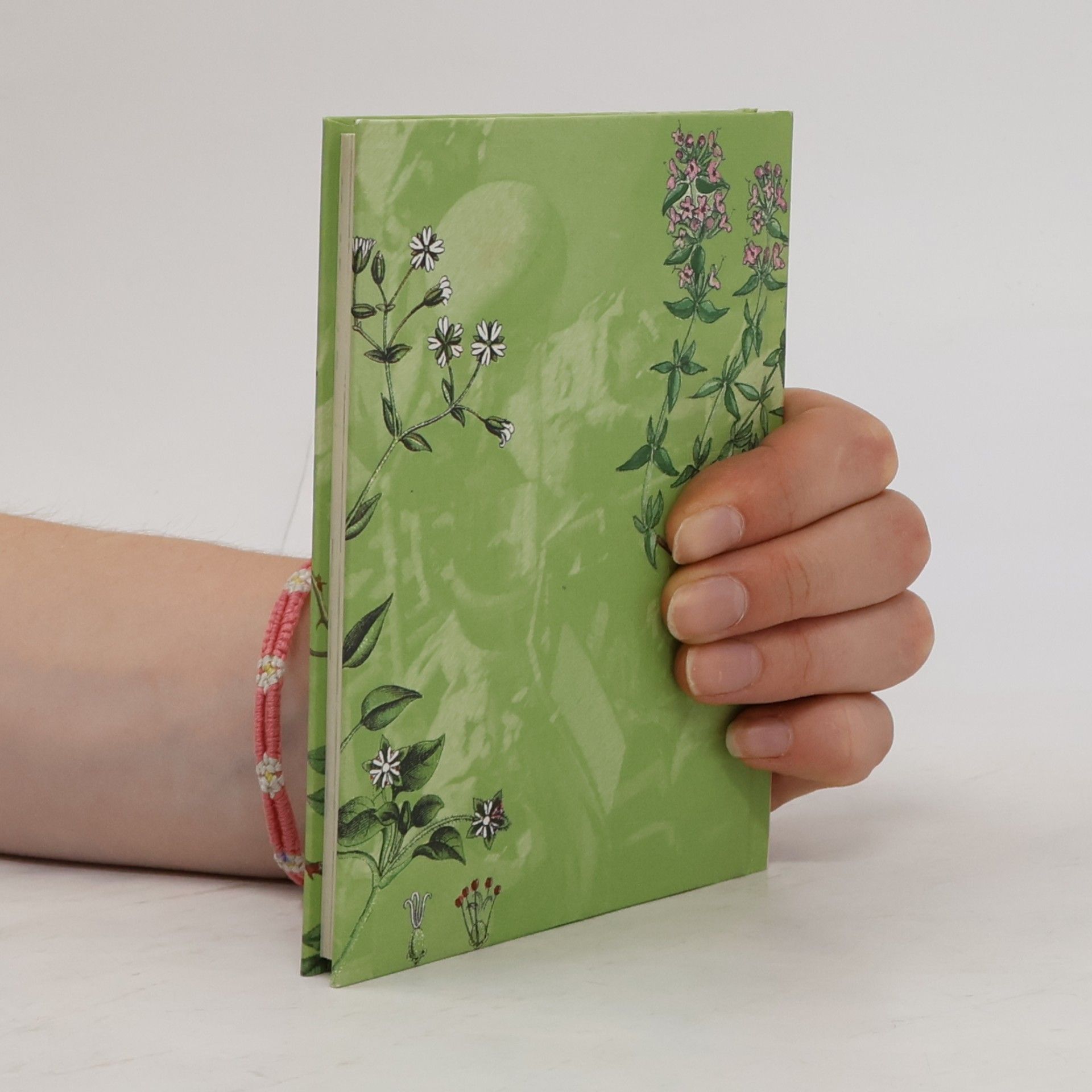 Autorenkollektiv Wildkräuter-Fibel