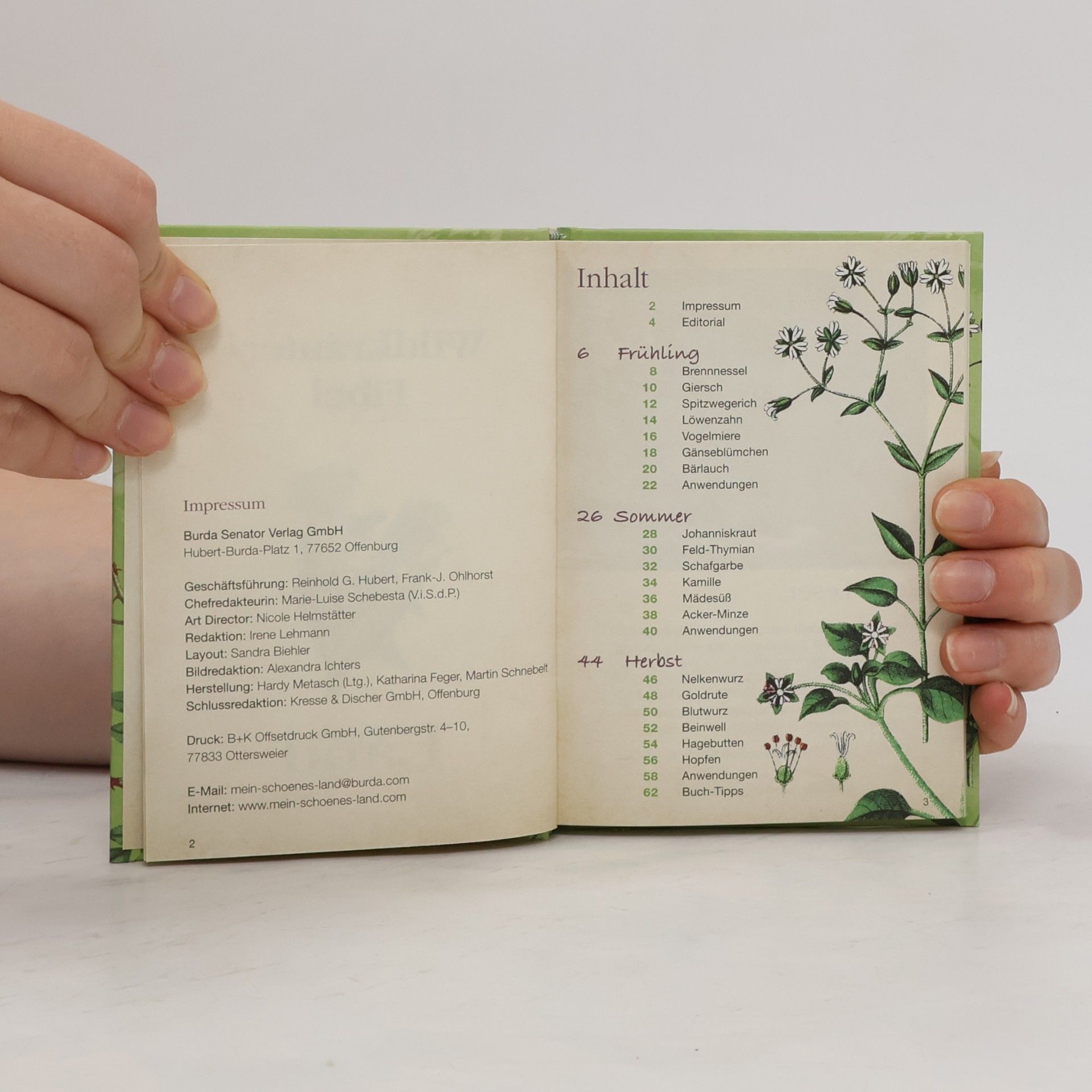 Autorenkollektiv Wildkräuter-Fibel