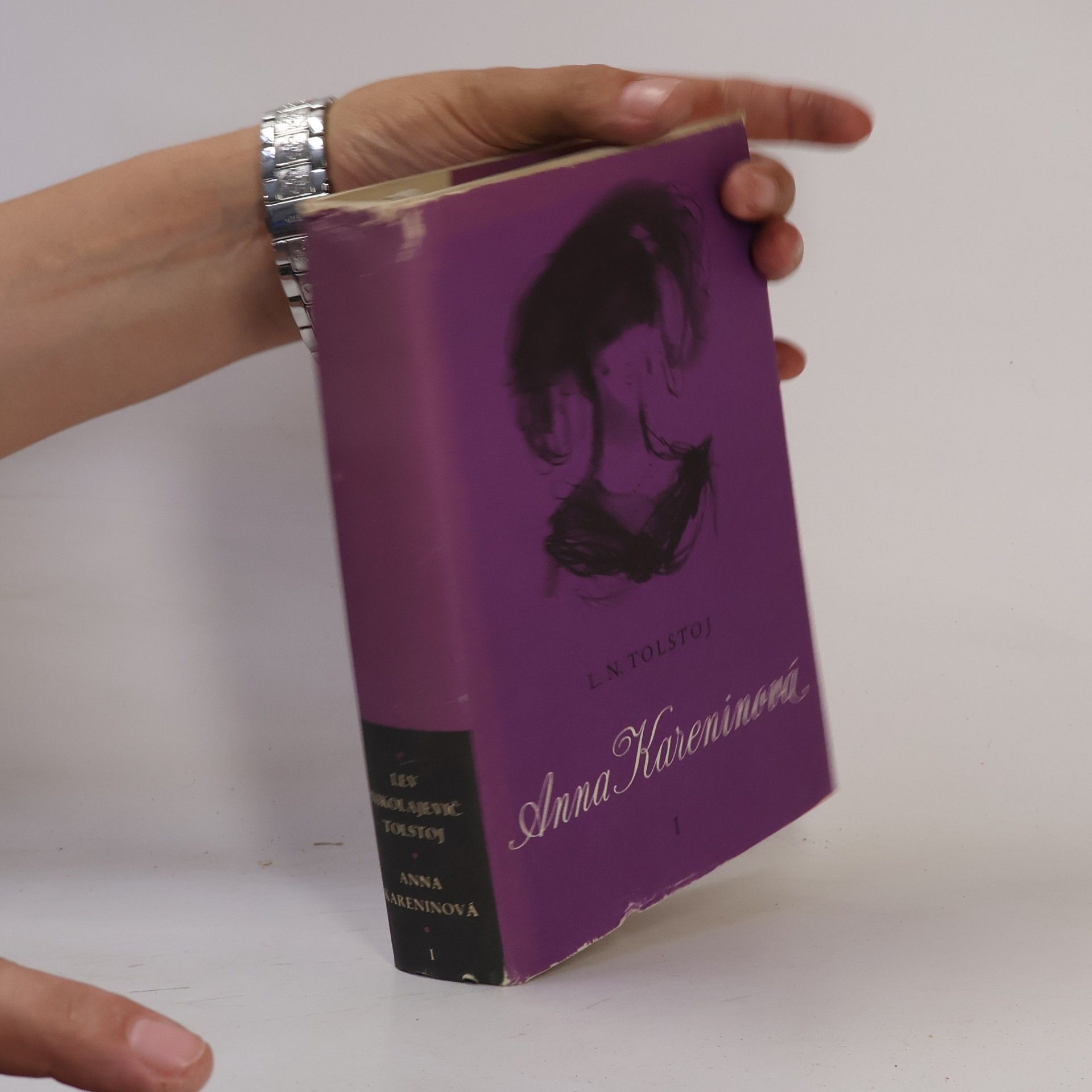 Lev Nikolajevič Tolstoj Anna Kareninová I.