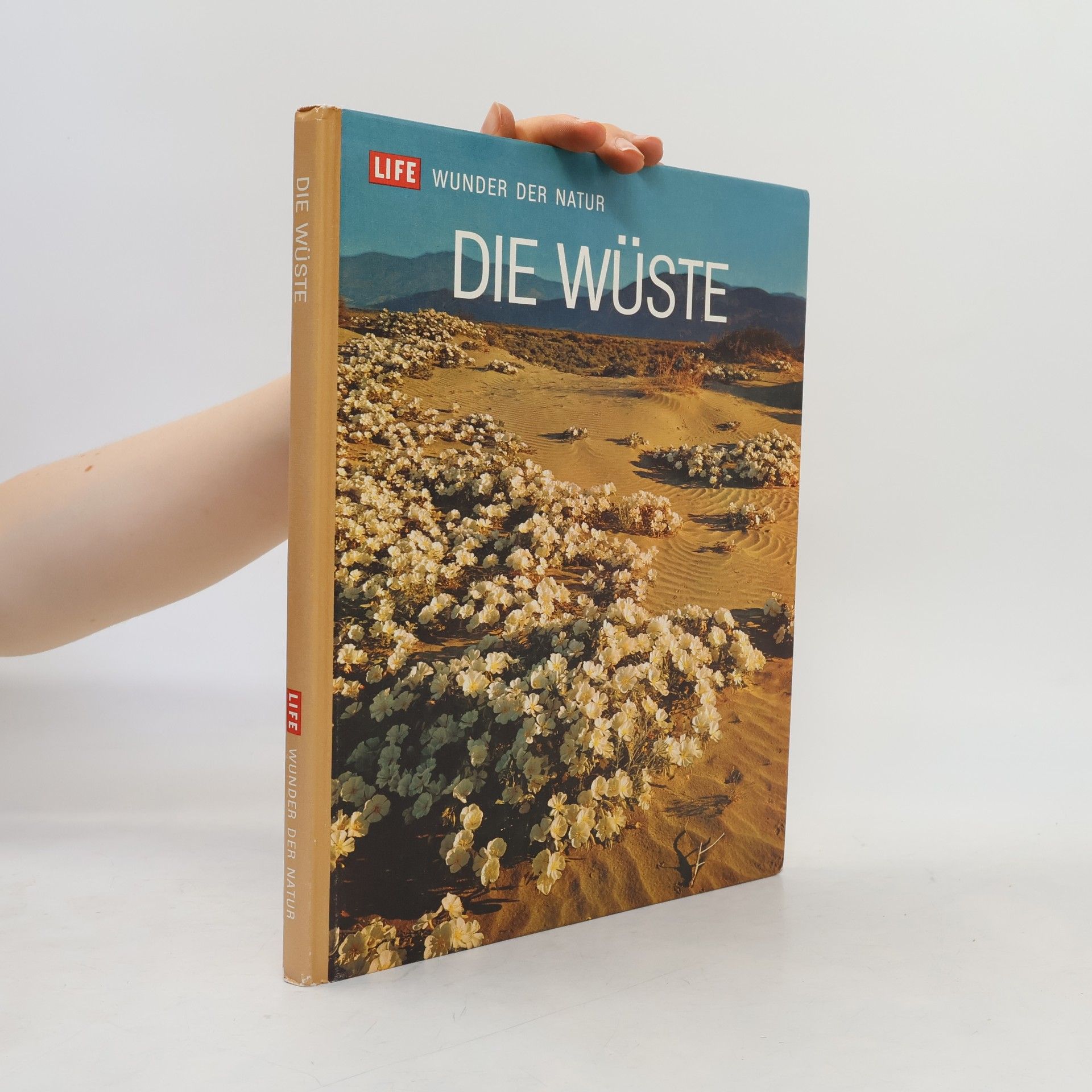 Autores varios Die Wüste