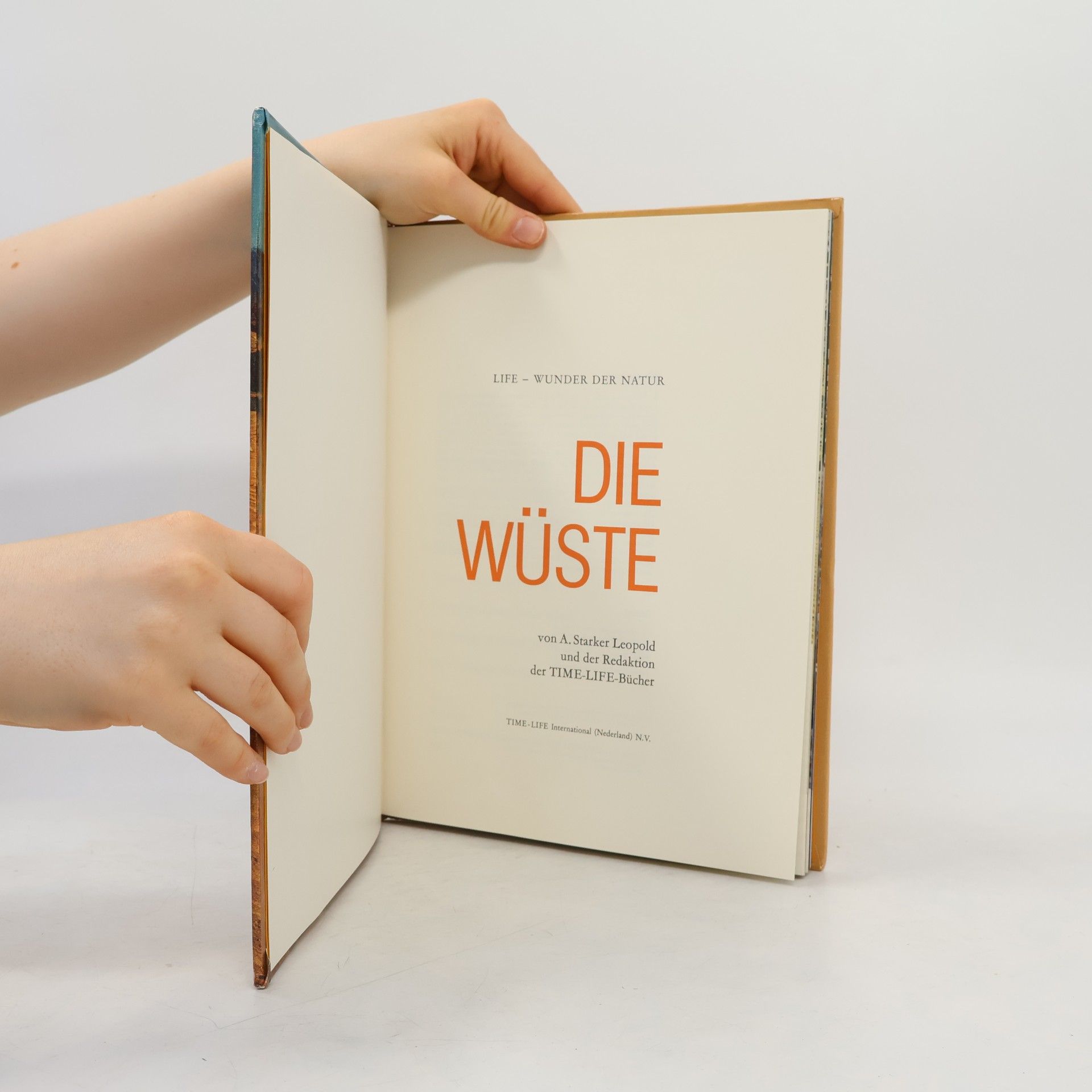 Autorenkollektiv Die Wüste