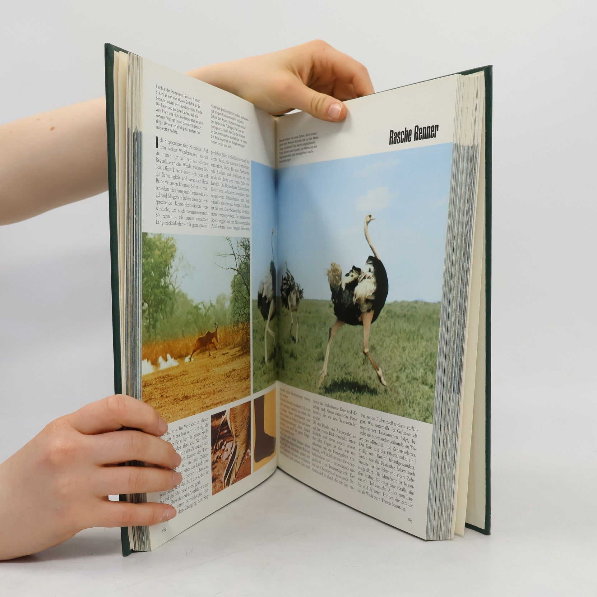 Karl-Erich Graebner Natur