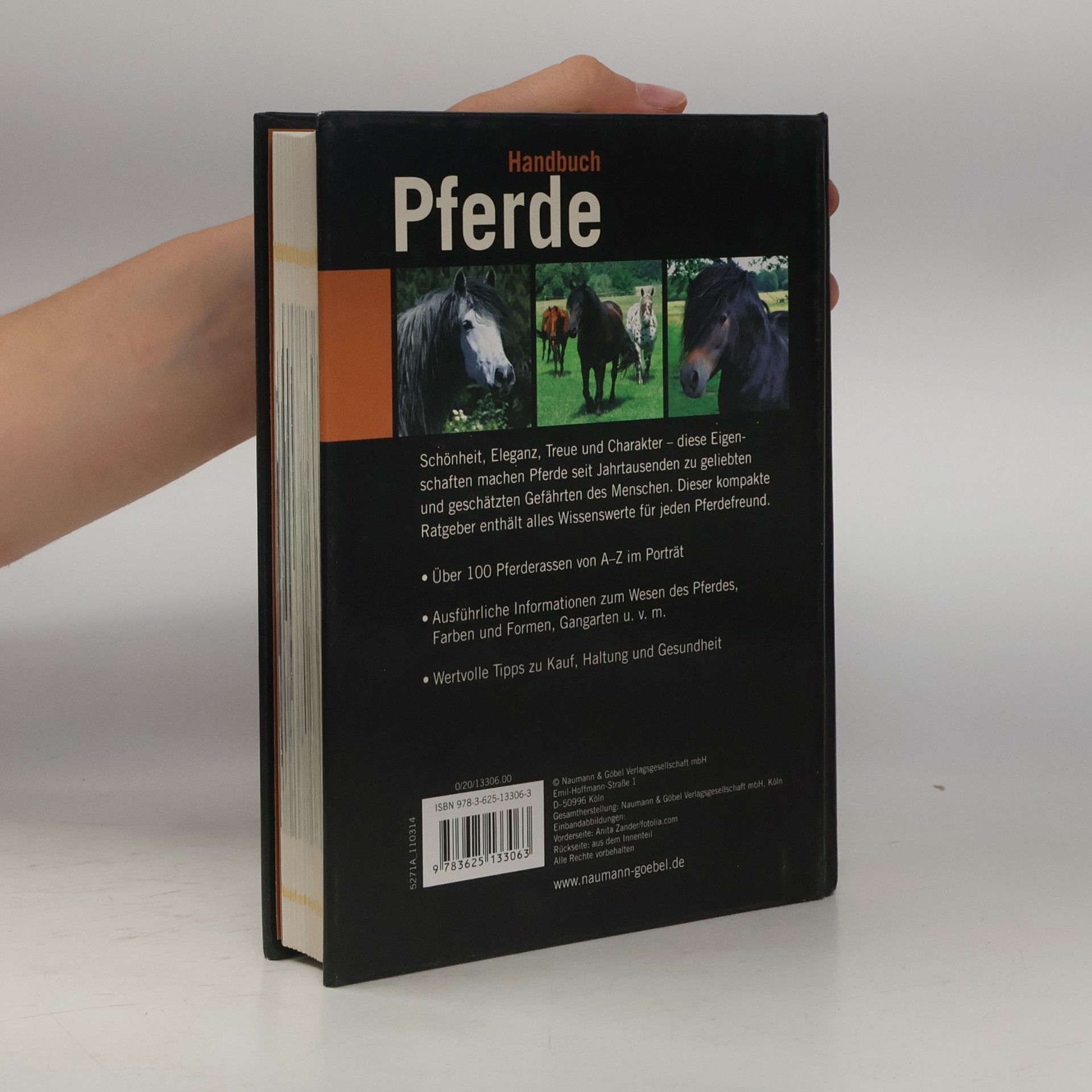 Saskia Brixner Handbuch Pferde
