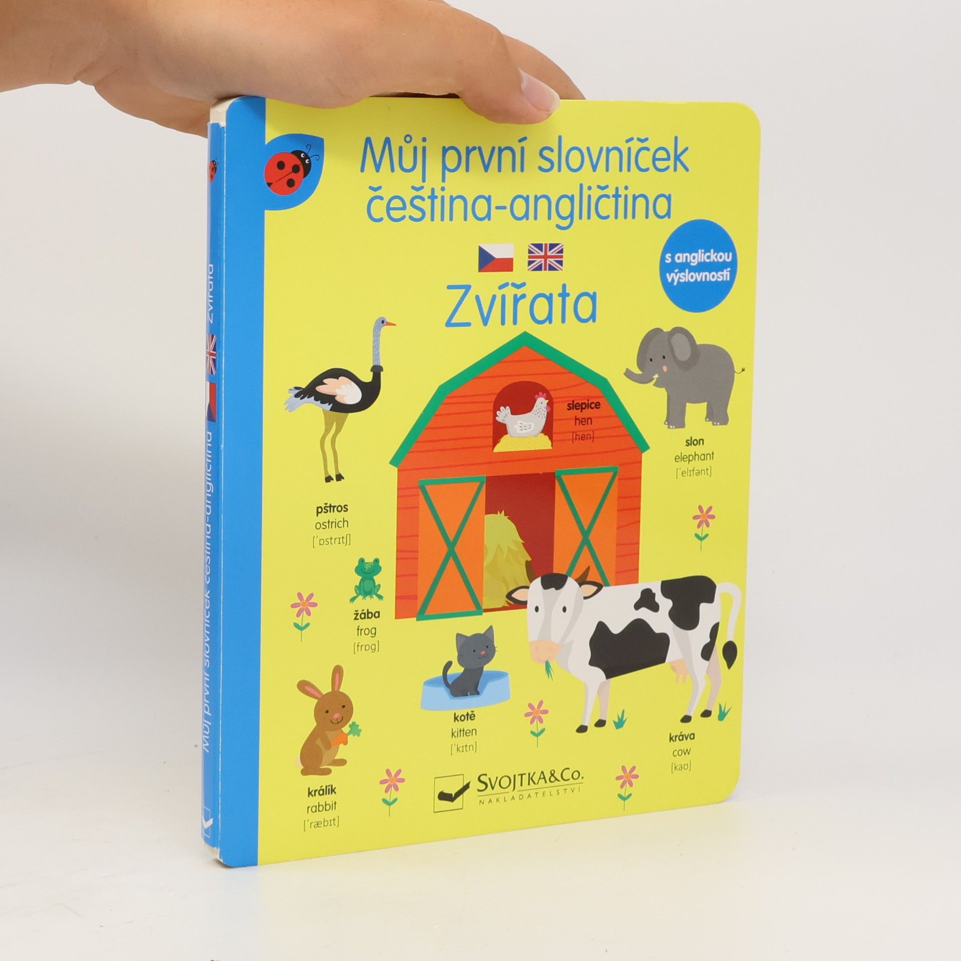 Kolektív autorov Můj první slovníček čeština -angličtina Zvířata