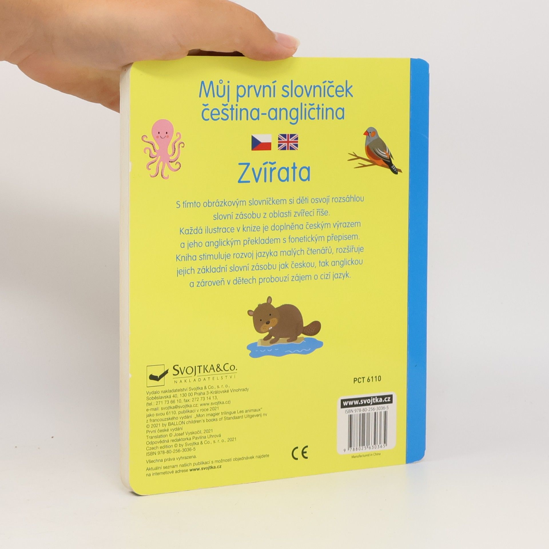 Autorenkollektiv Můj první slovníček čeština -angličtina Zvířata
