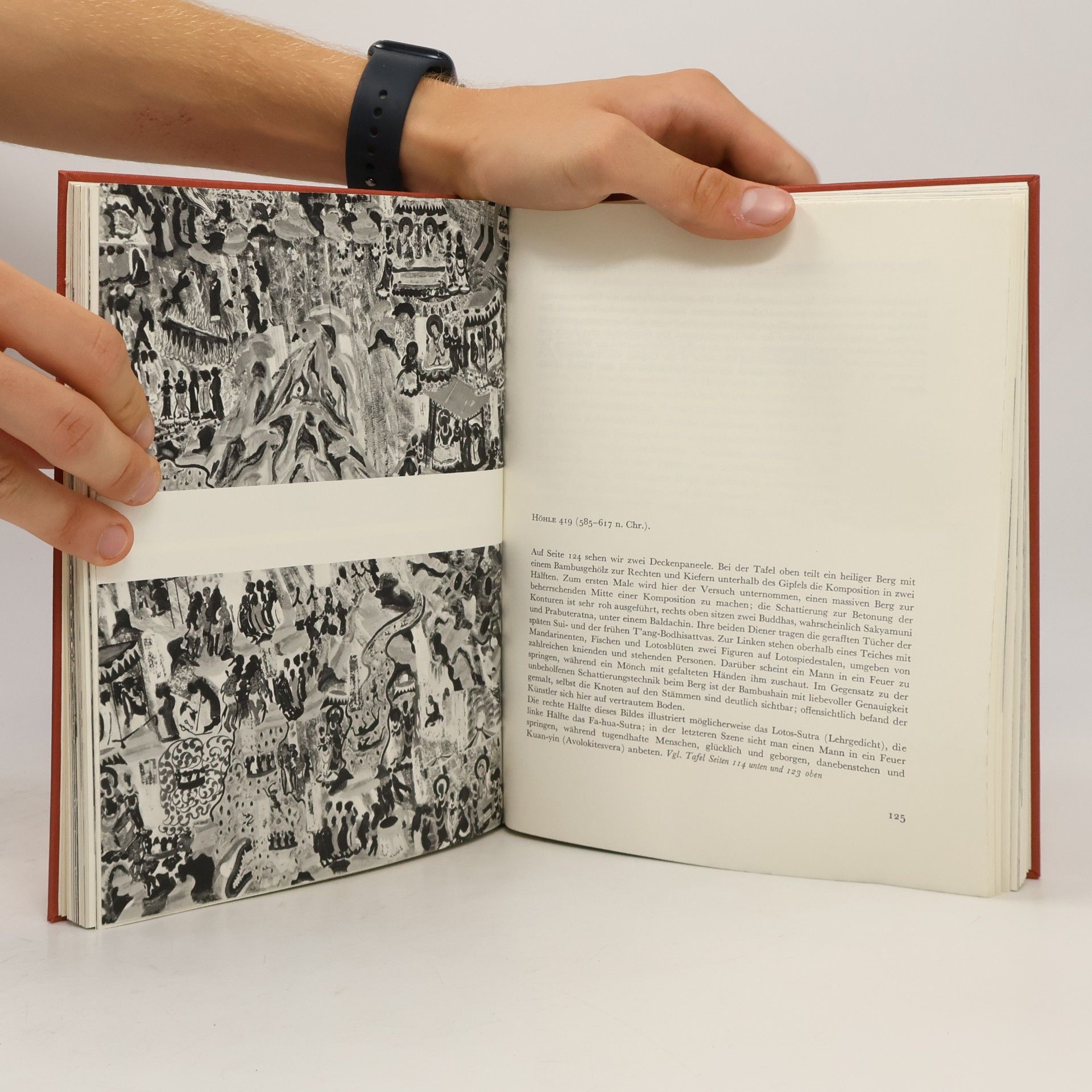 Anil de Silva Kunst der Welt. Chinesische Landschaftsmalerei