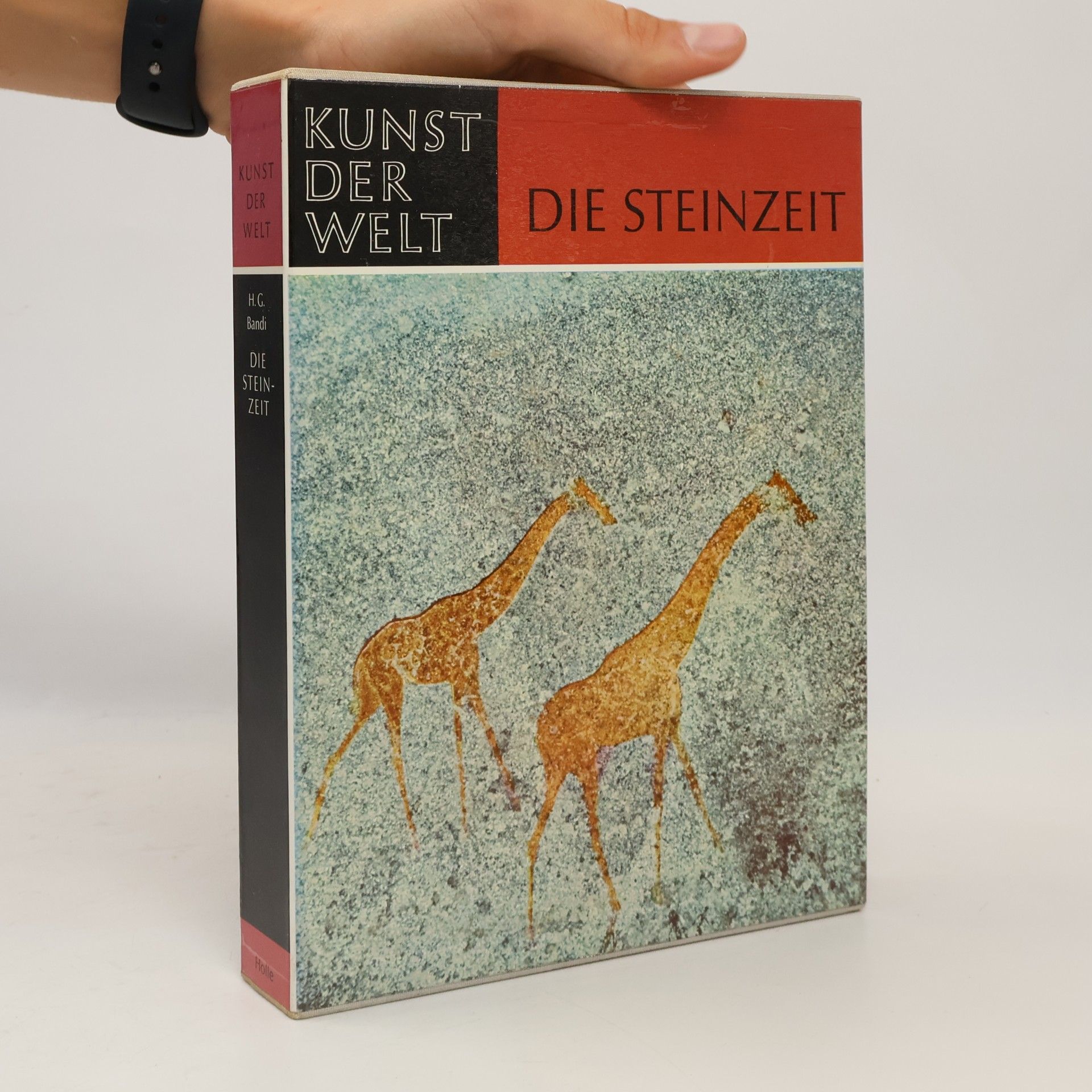 Autorenkollektiv Die Steinzeit