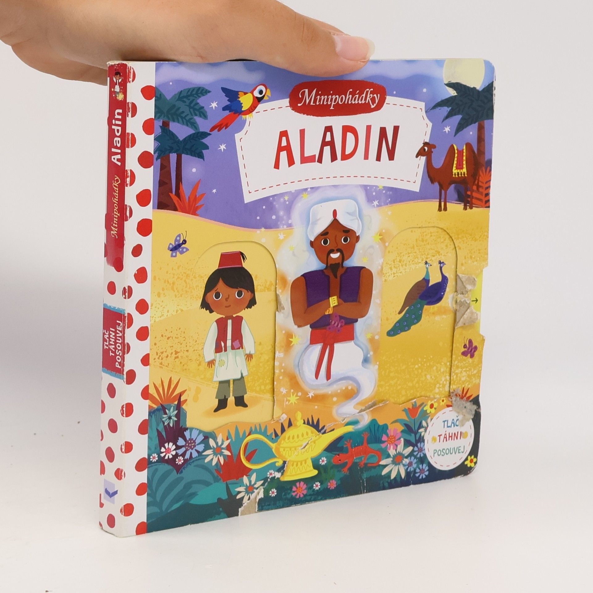 Amanda Enright Aladin