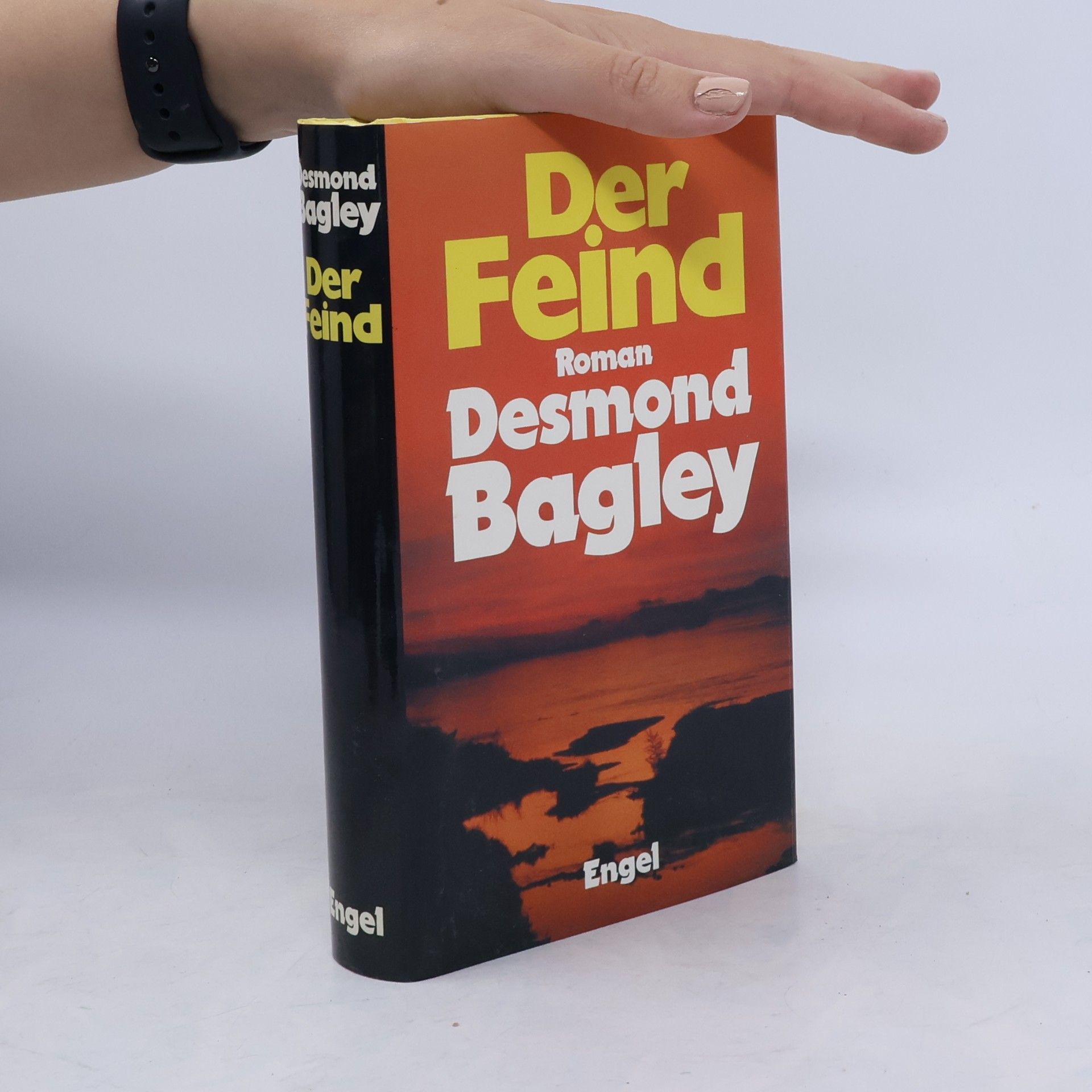 Desmond Bagley Der Feind